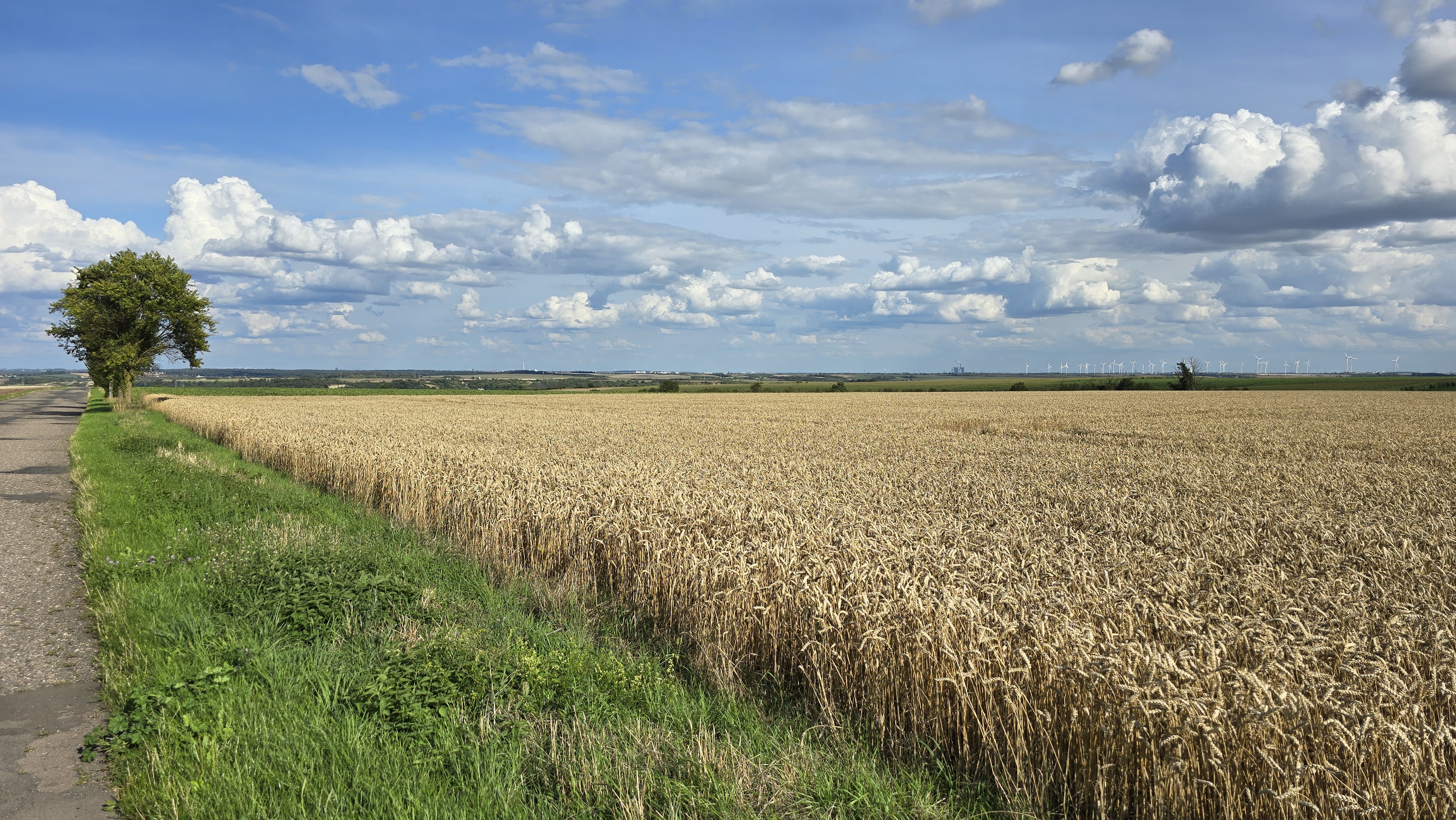 K2149 nach Lettiner Straße 37A