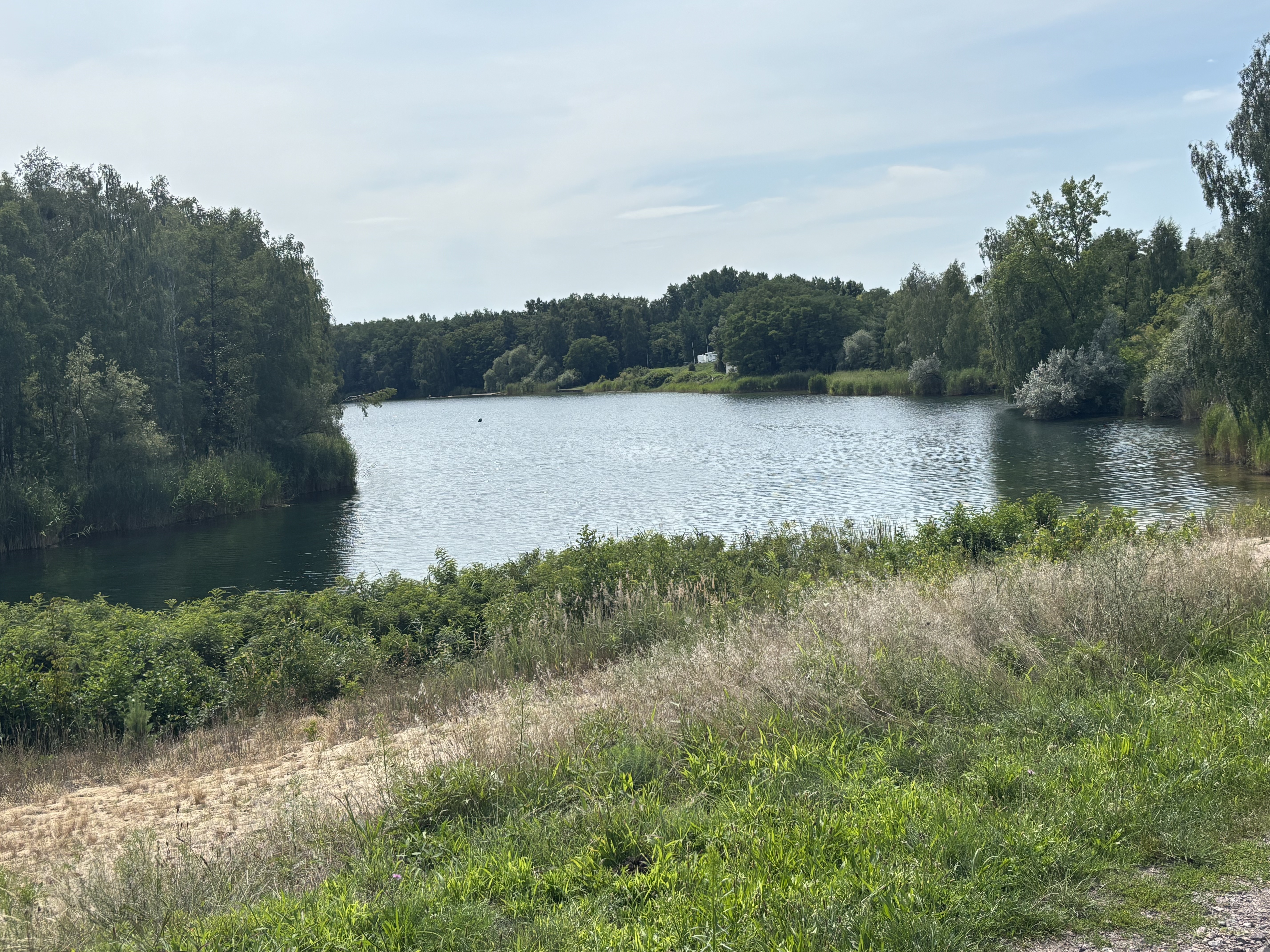 Taubenweg, Gräfenhainichen nach Taubenweg, Gräfenhainichen