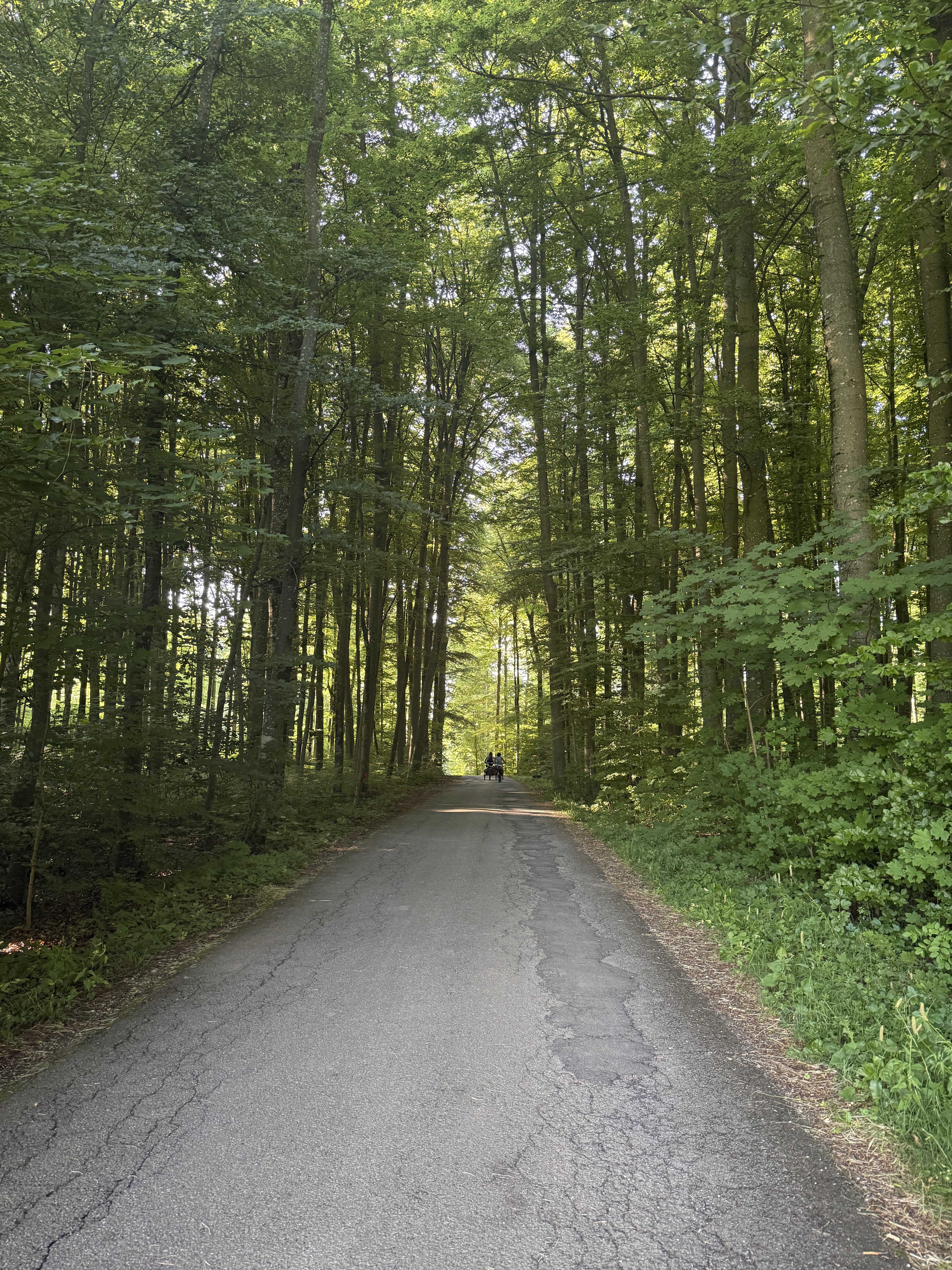 Blaubeuren nach Im Hof, Erkenbrechtsweiler