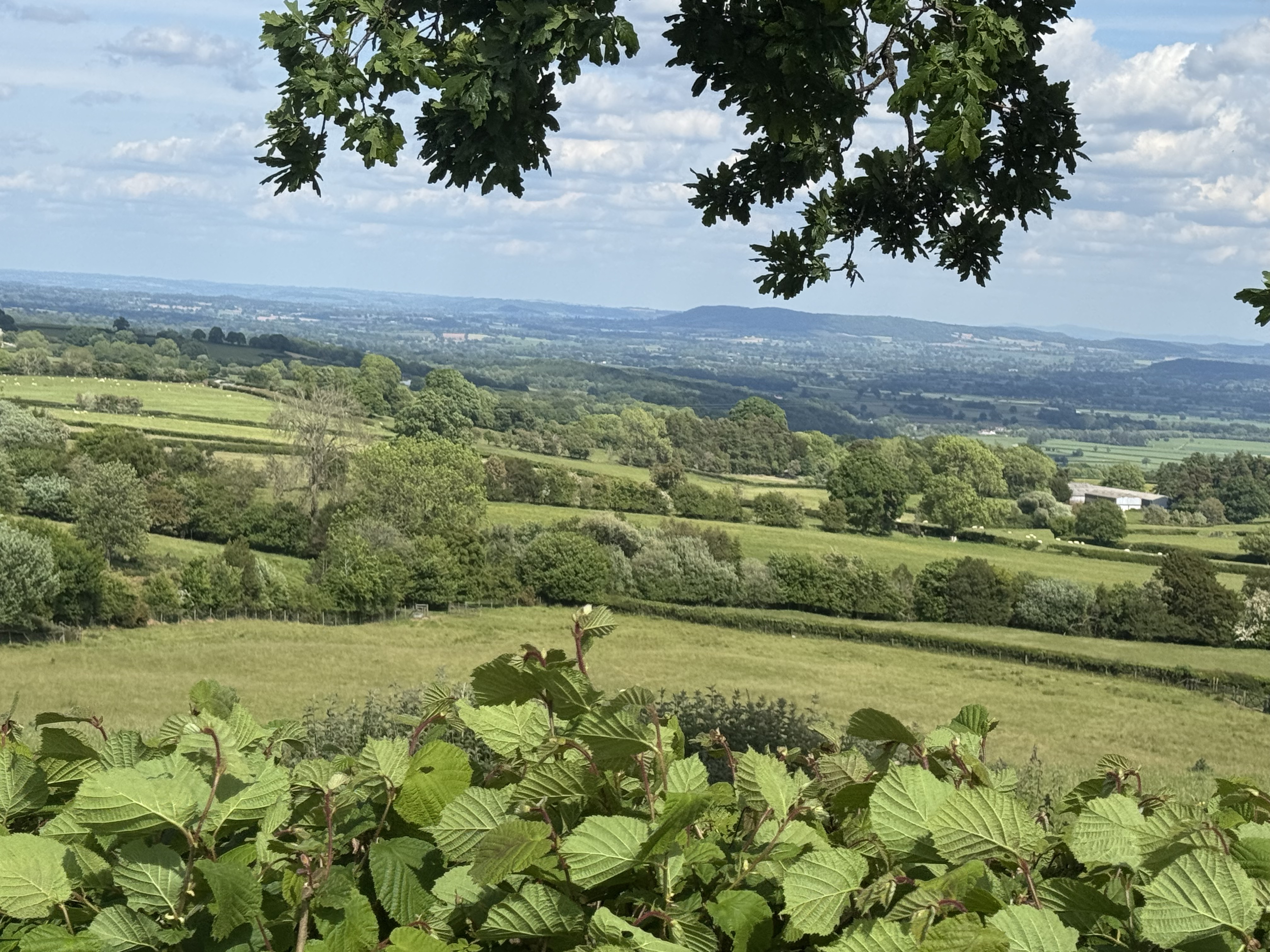 Pen-y-Dre, Cardiff to Willey Hall, Presteigne