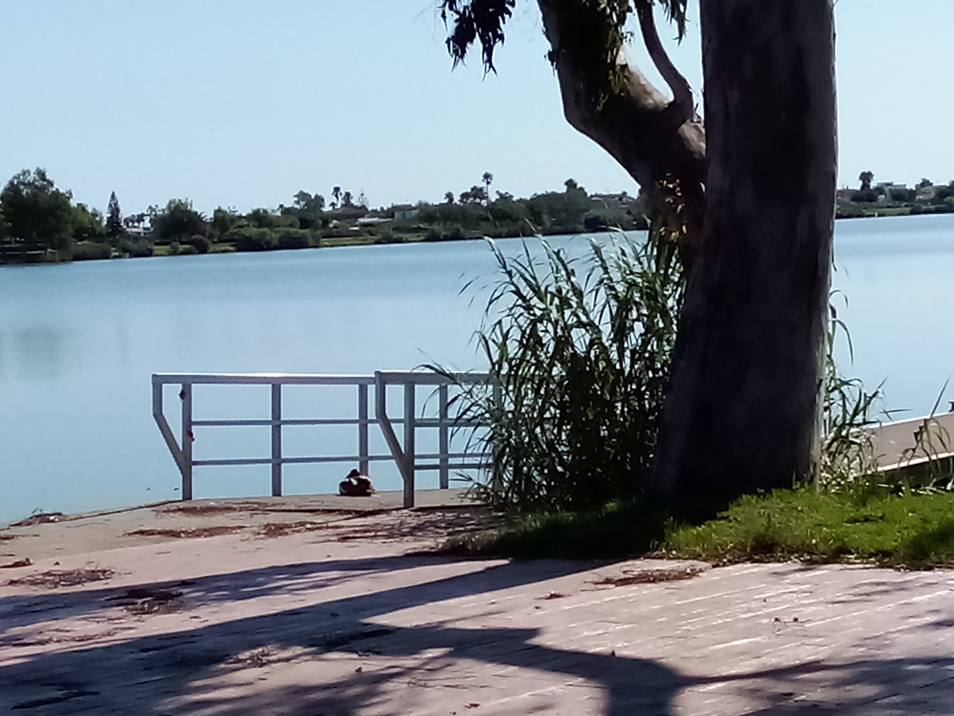 De Avinguda de l'Ebre a Carrer Vapor Anita