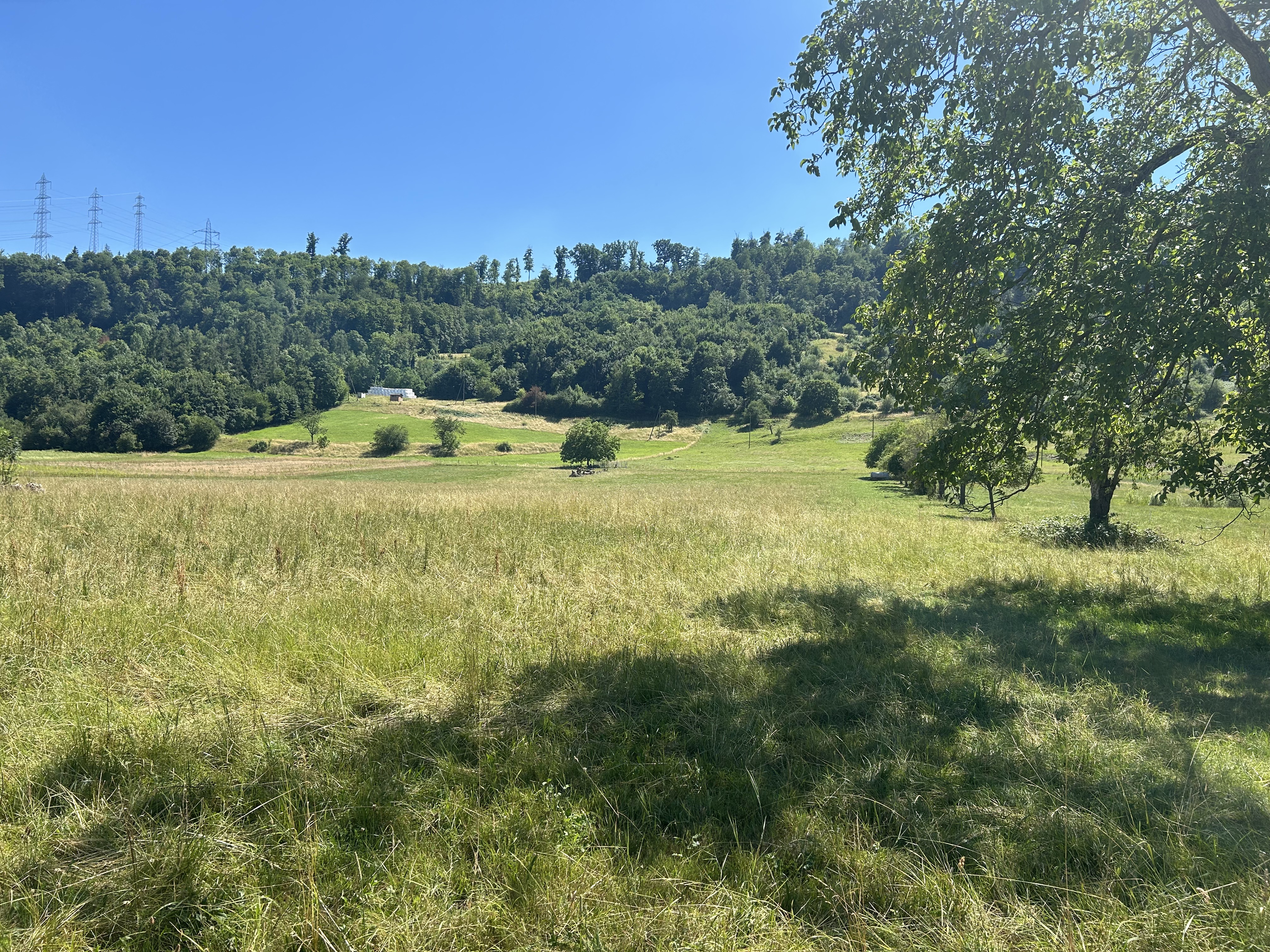 Route de l'Écluse, Kunheim naar Ringstrasse, Füllinsdorf