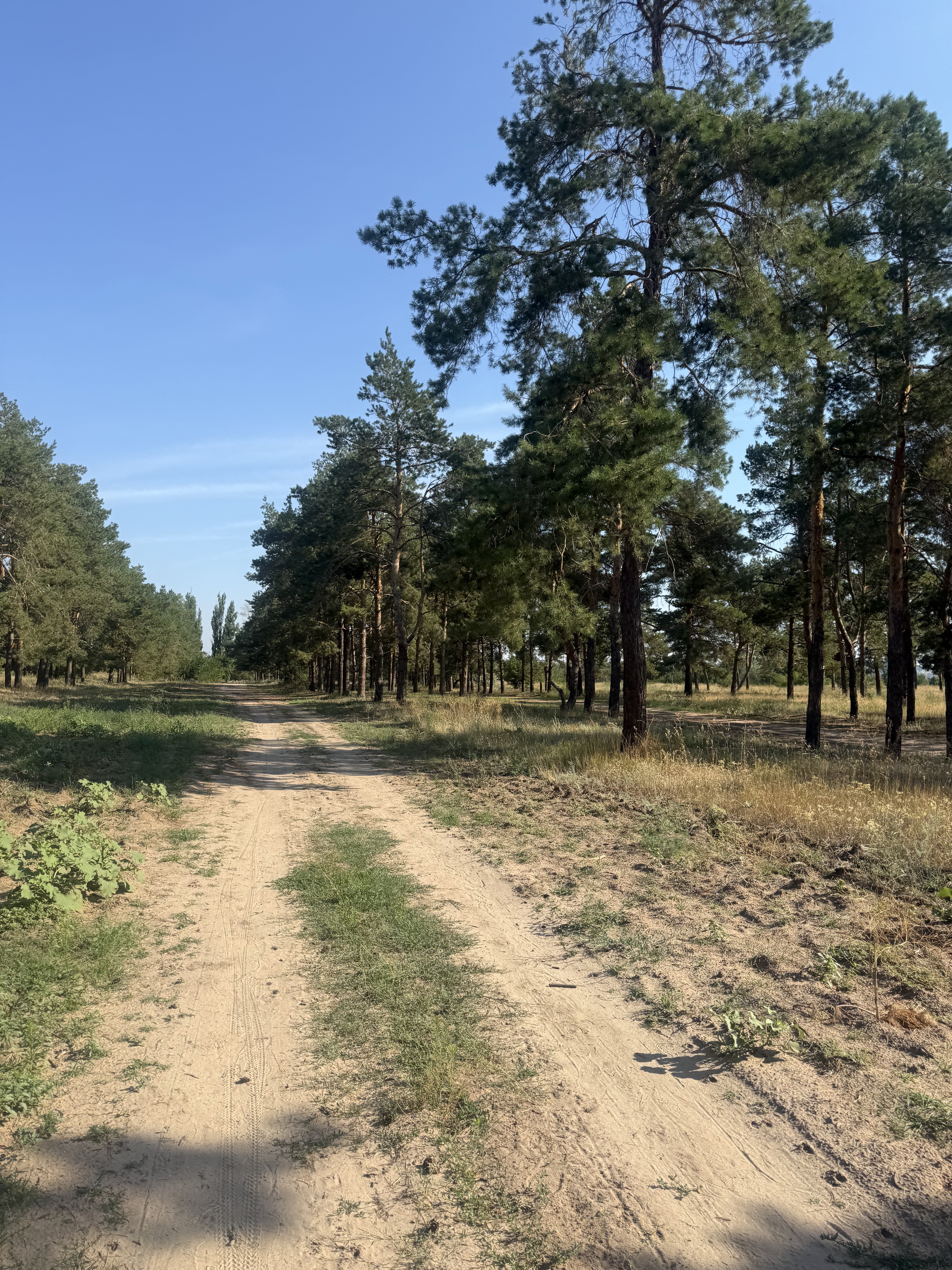Photo 2 de l’itinéraire Bikemap « улица Маршала Воронова, Волгоград до улица Маршала Воронова, Волгоград » Photo 2 de l’itinéraire Bikemap « улица Маршала Воронова, Волгоград до улица Маршала Воронова, Волгоград »