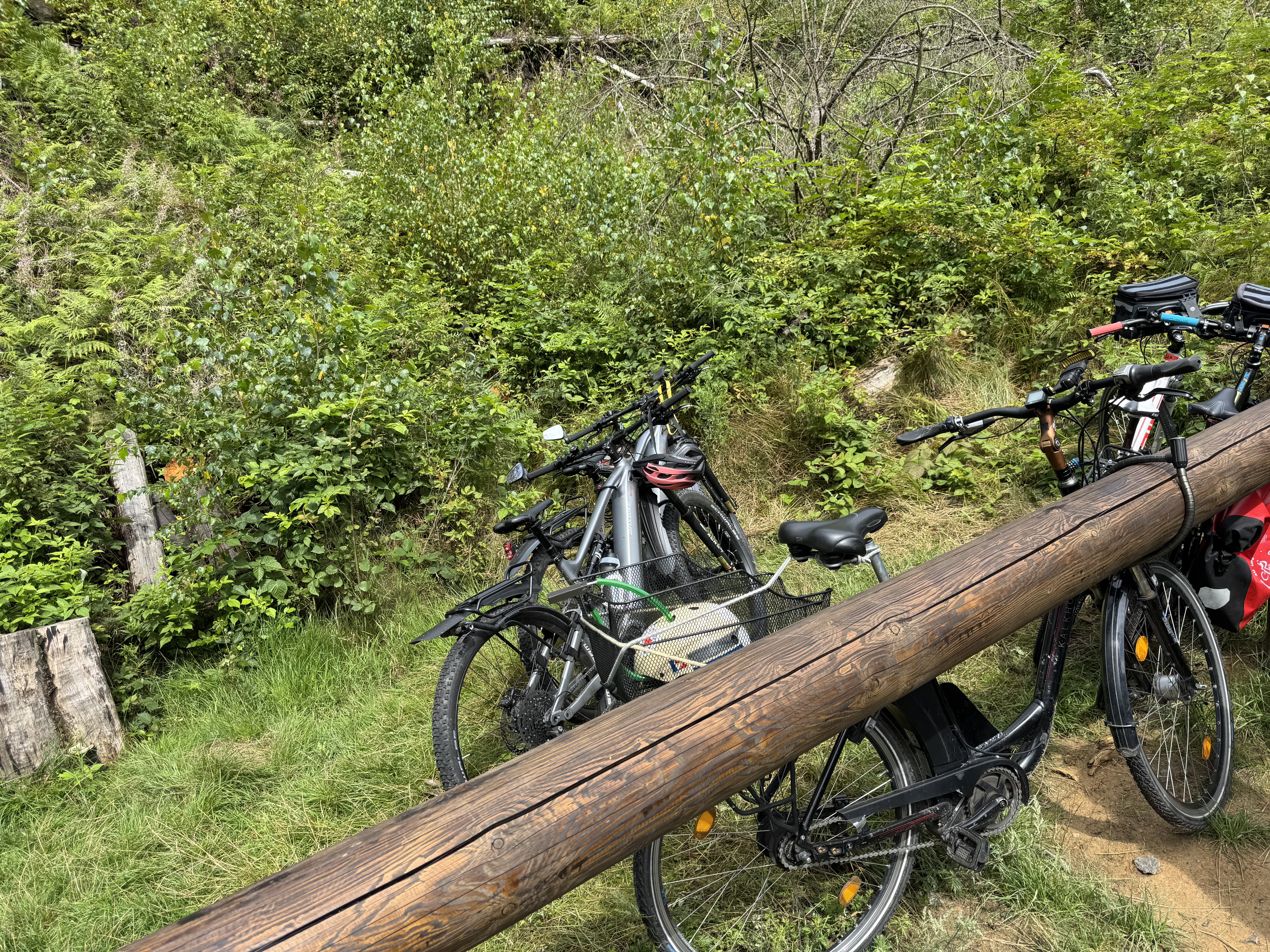 Svatopluka Čecha, Děčín až E 3, Hřensko