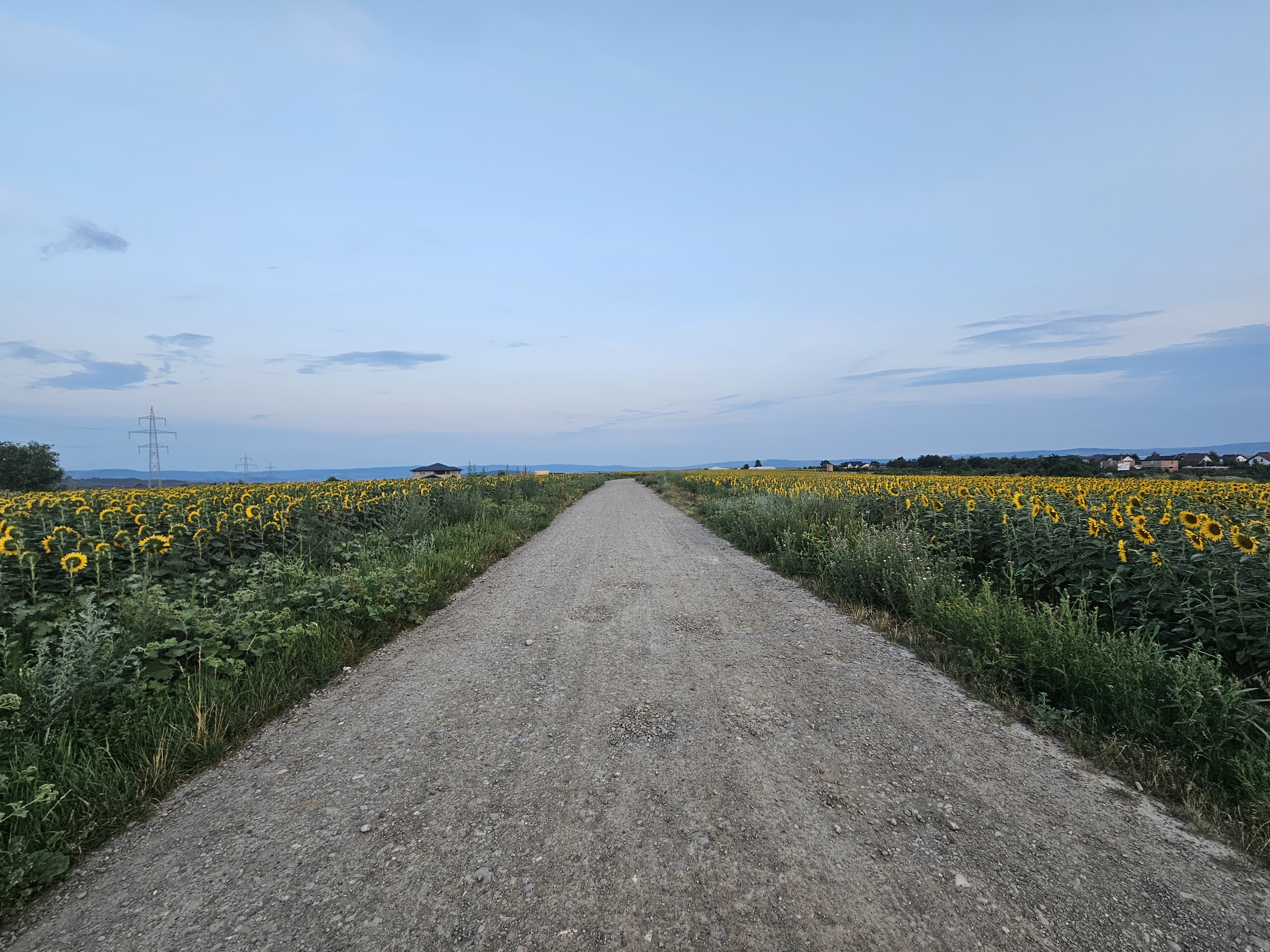 Strada Albinelor to Strada Albinelor