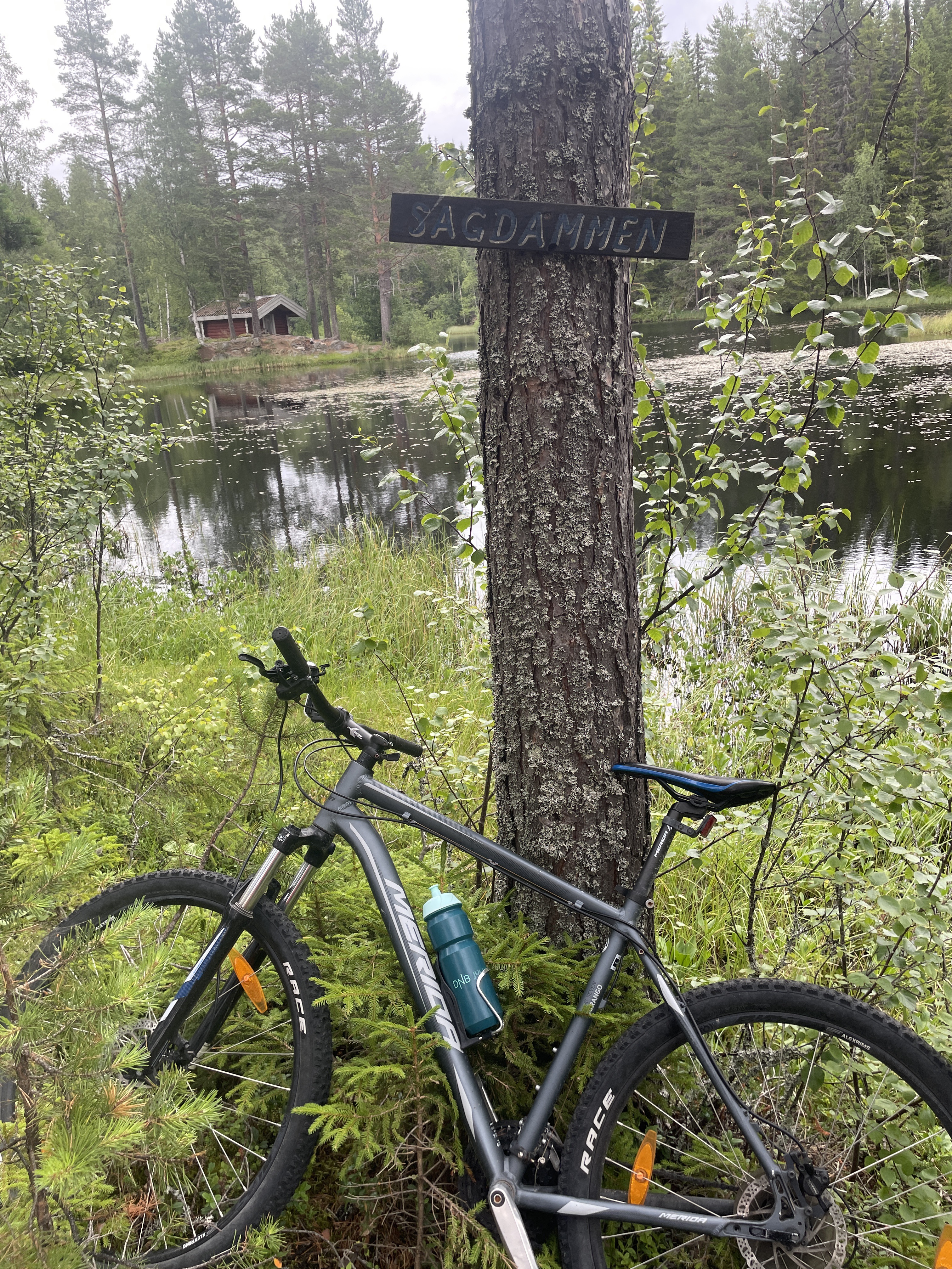Tyskervegen