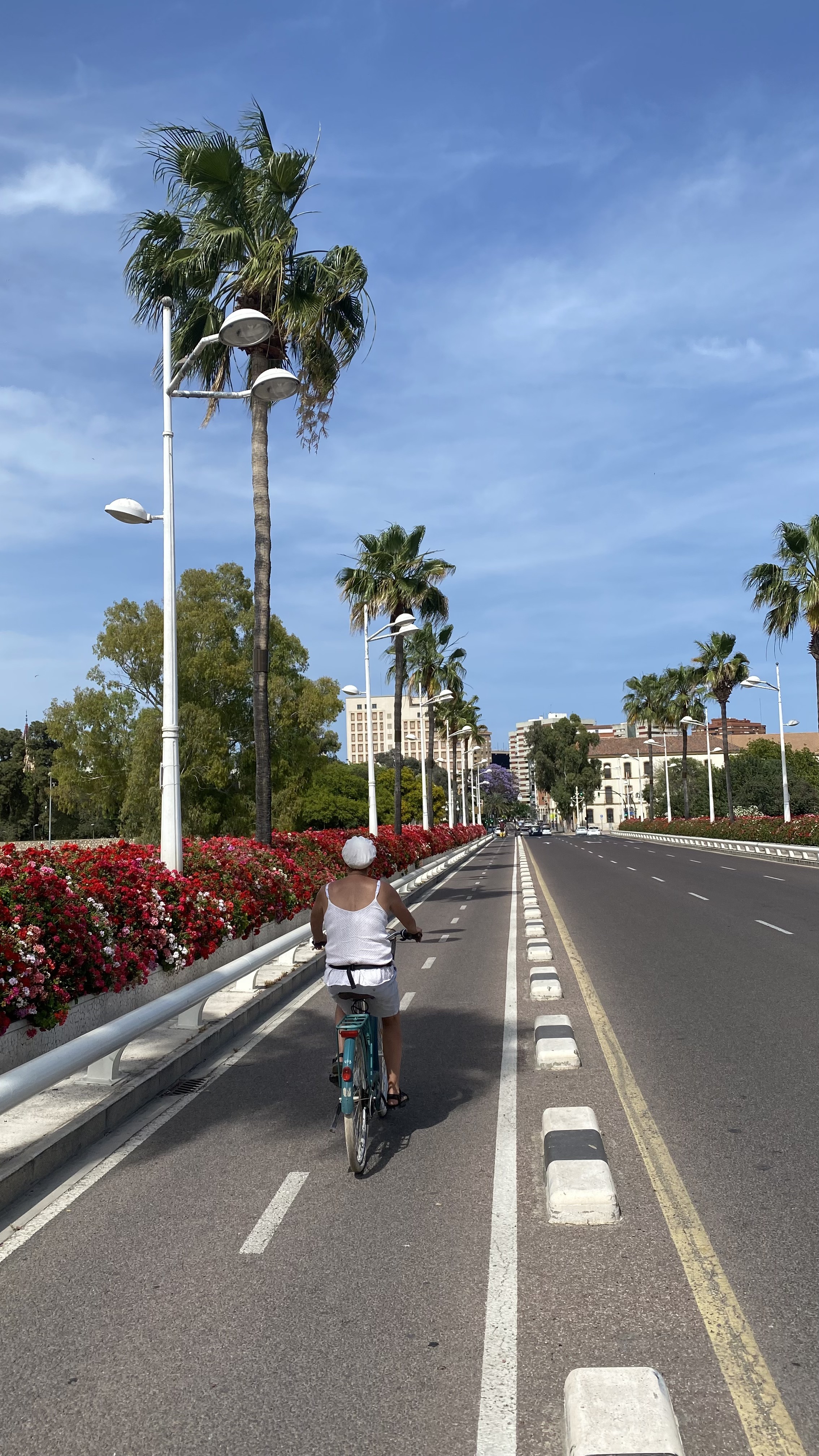 Photo 8 of the Bikemap route "valencia Turia"