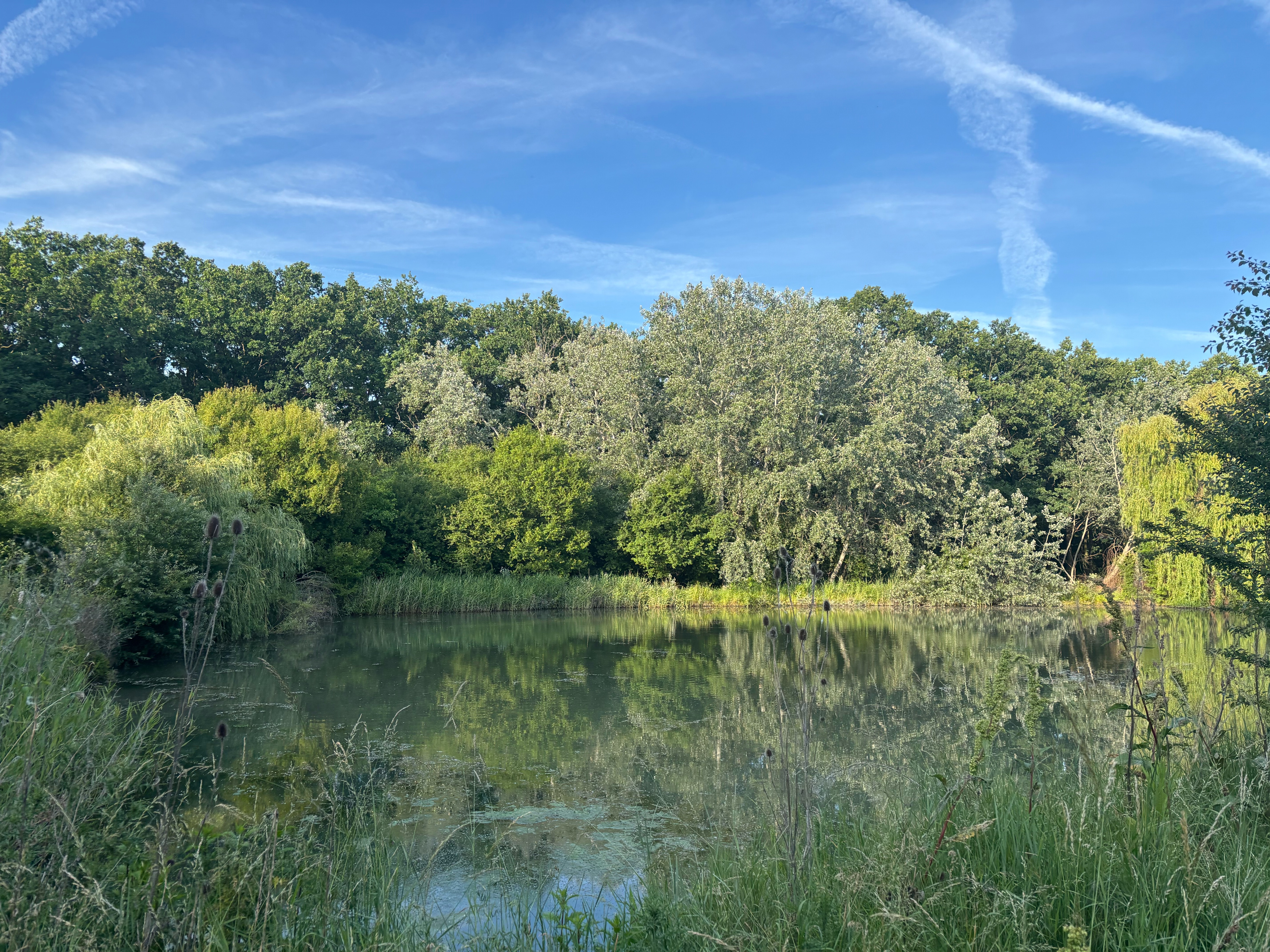 Mélypont kör