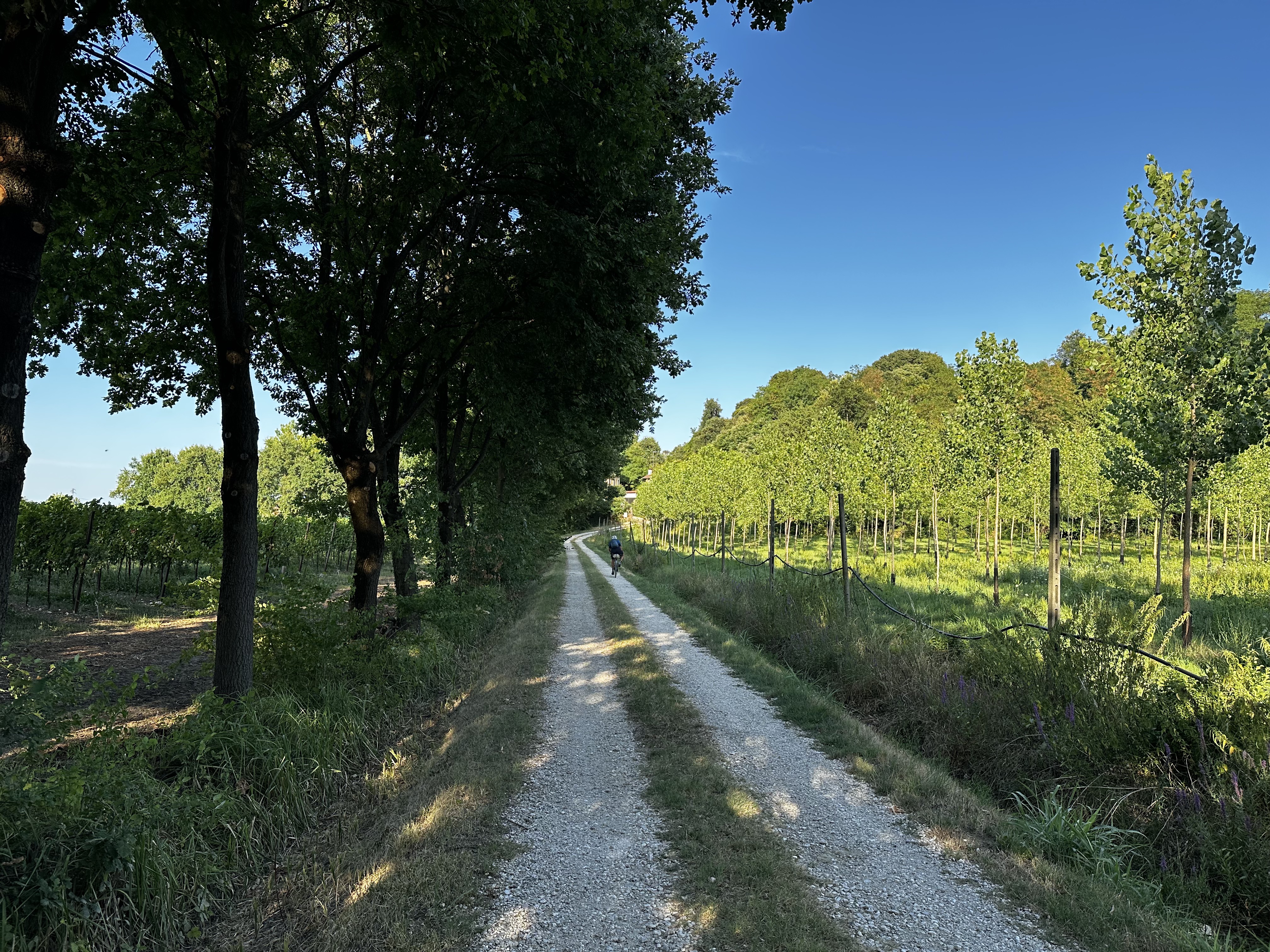 Via Veneto, Selvazzano Dentro nach Via John Fitzgerald Kennedy, Grisignano di Zocco