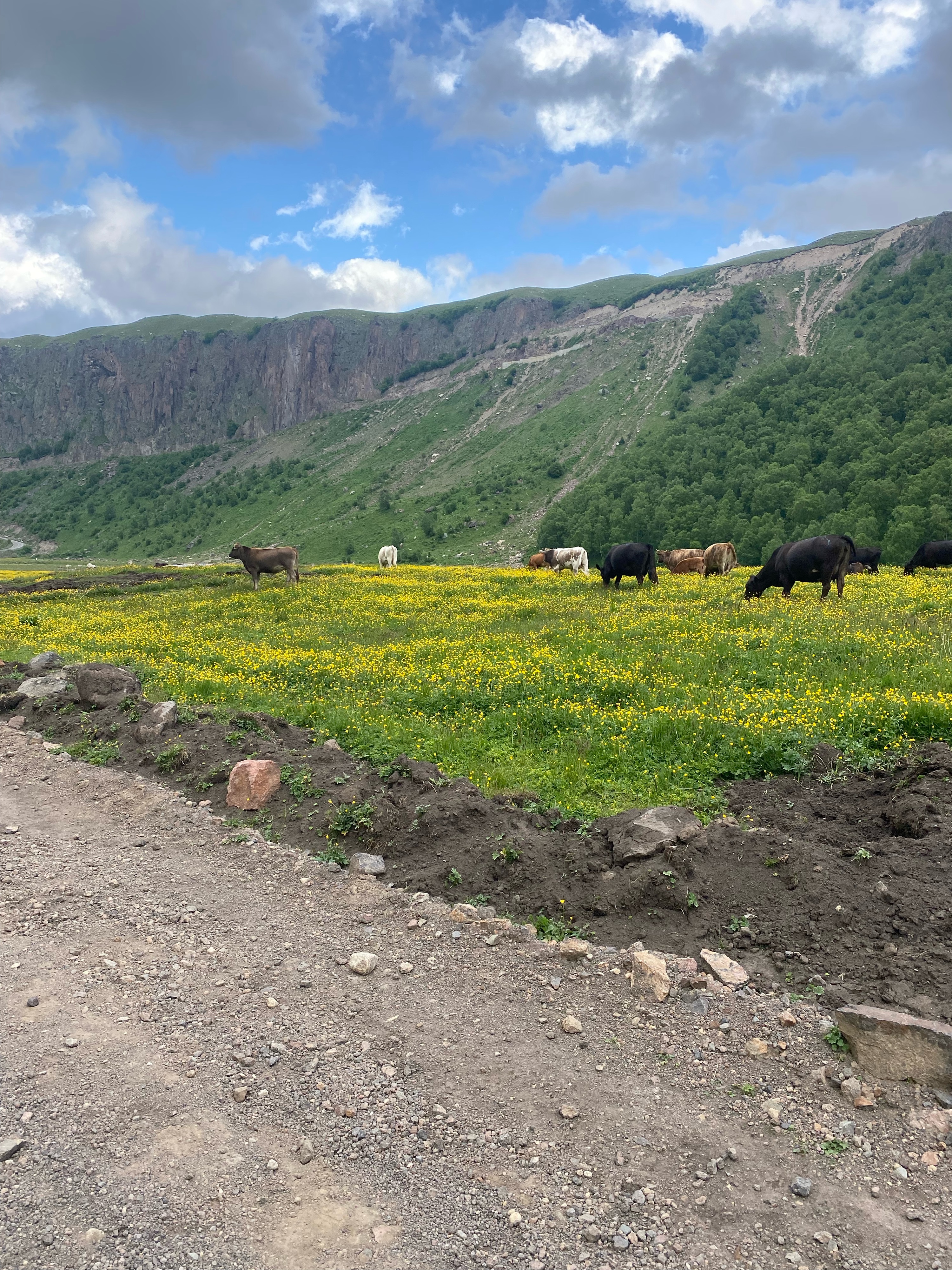 Кисловодск «Джилы Су»