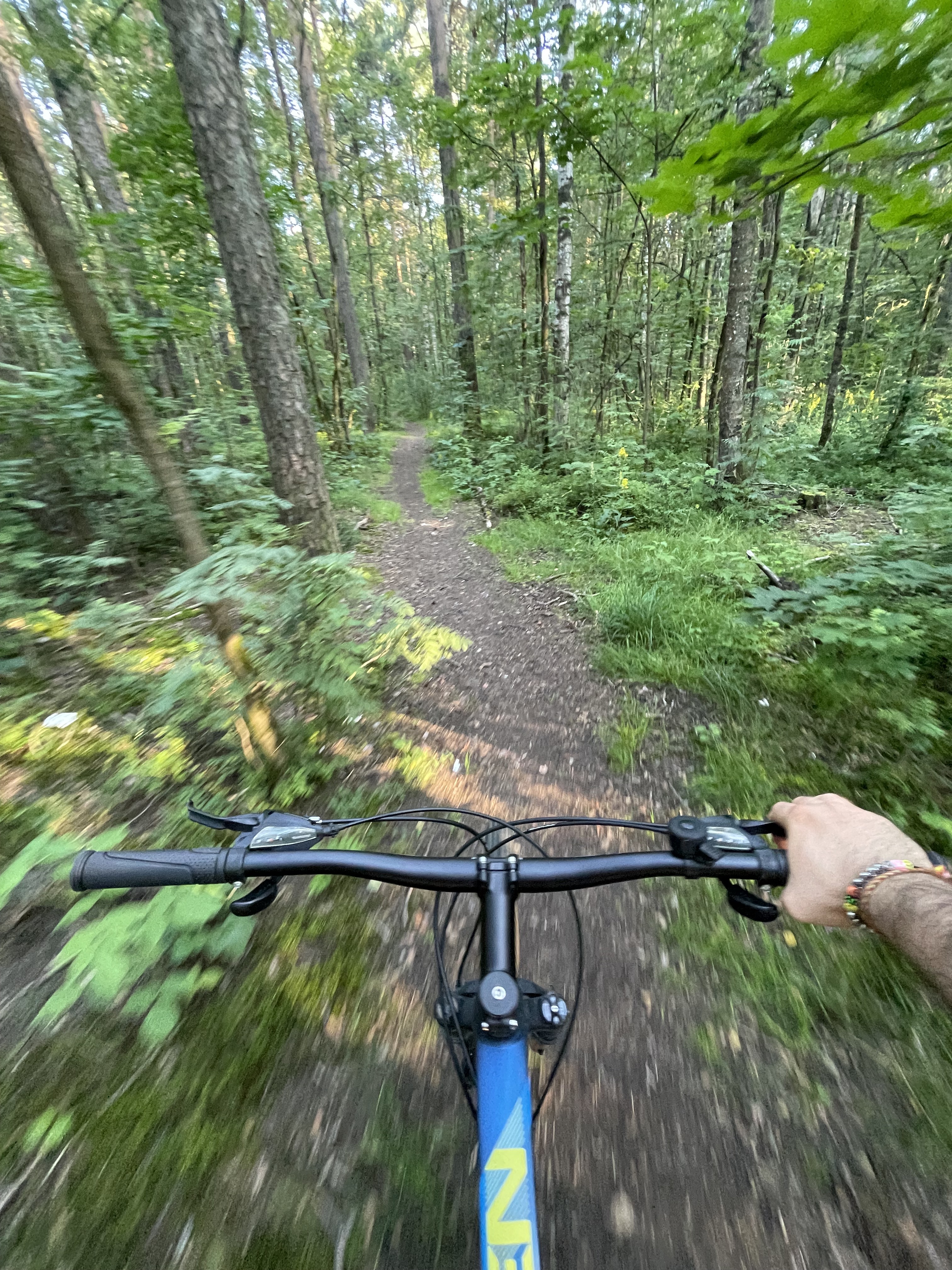 Foto 7 der Bikemap-Route "Муниципальный Район Всеволожский до улица Передовиков, Санкт-Петербург"