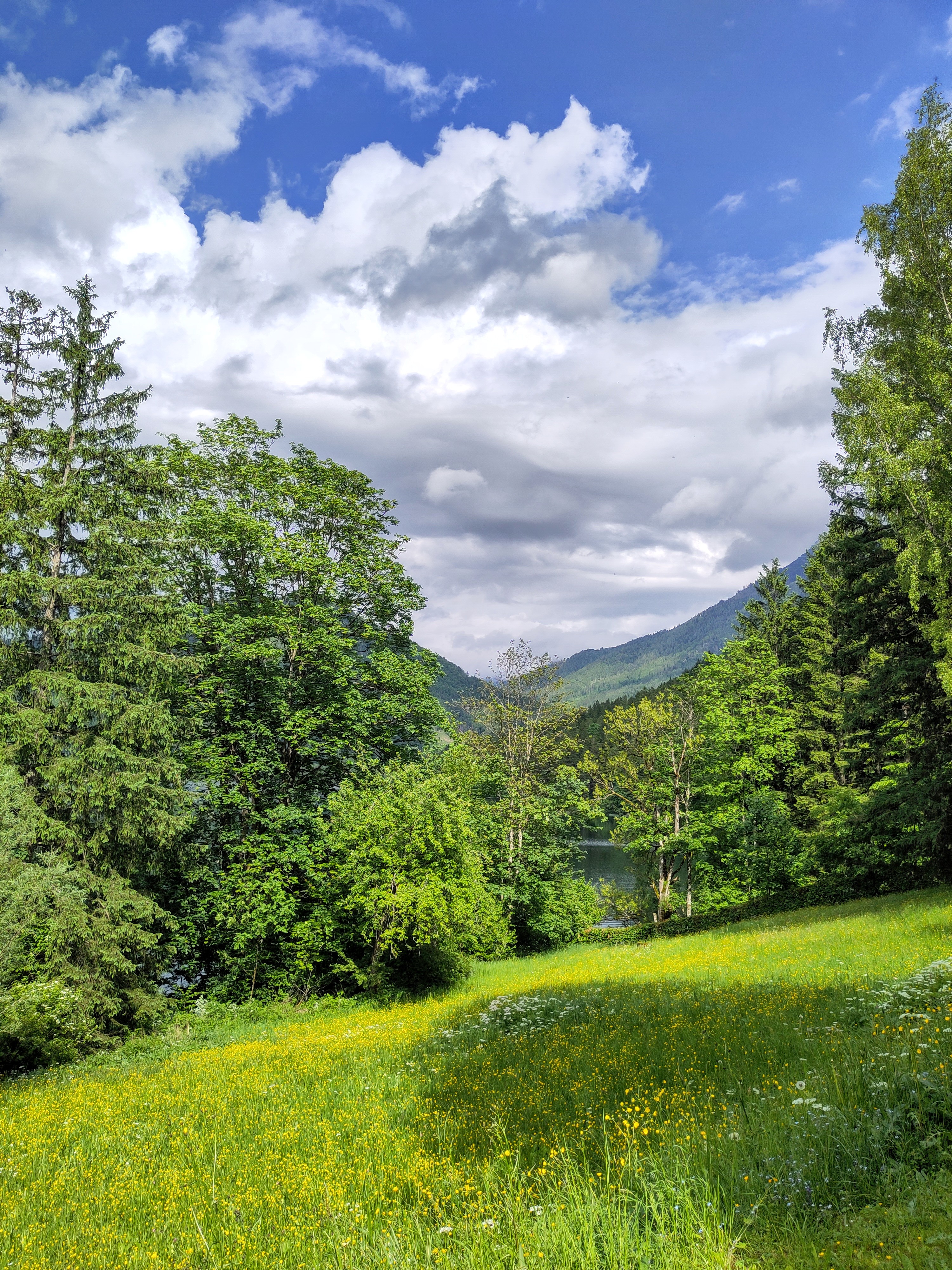 Mariazell - Erlaufsee - Lunz am See
