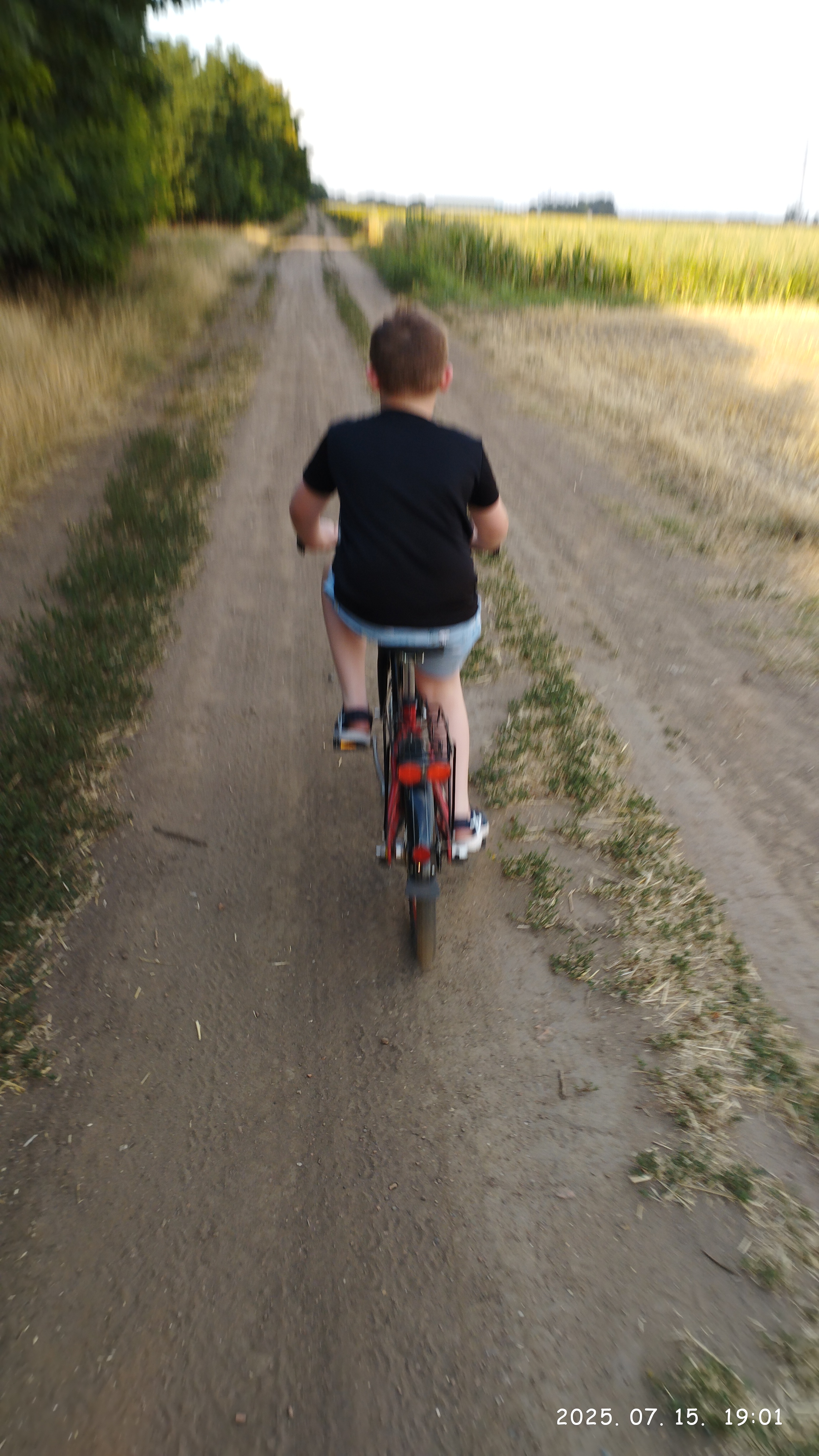 Könyves utca - Könyves utca