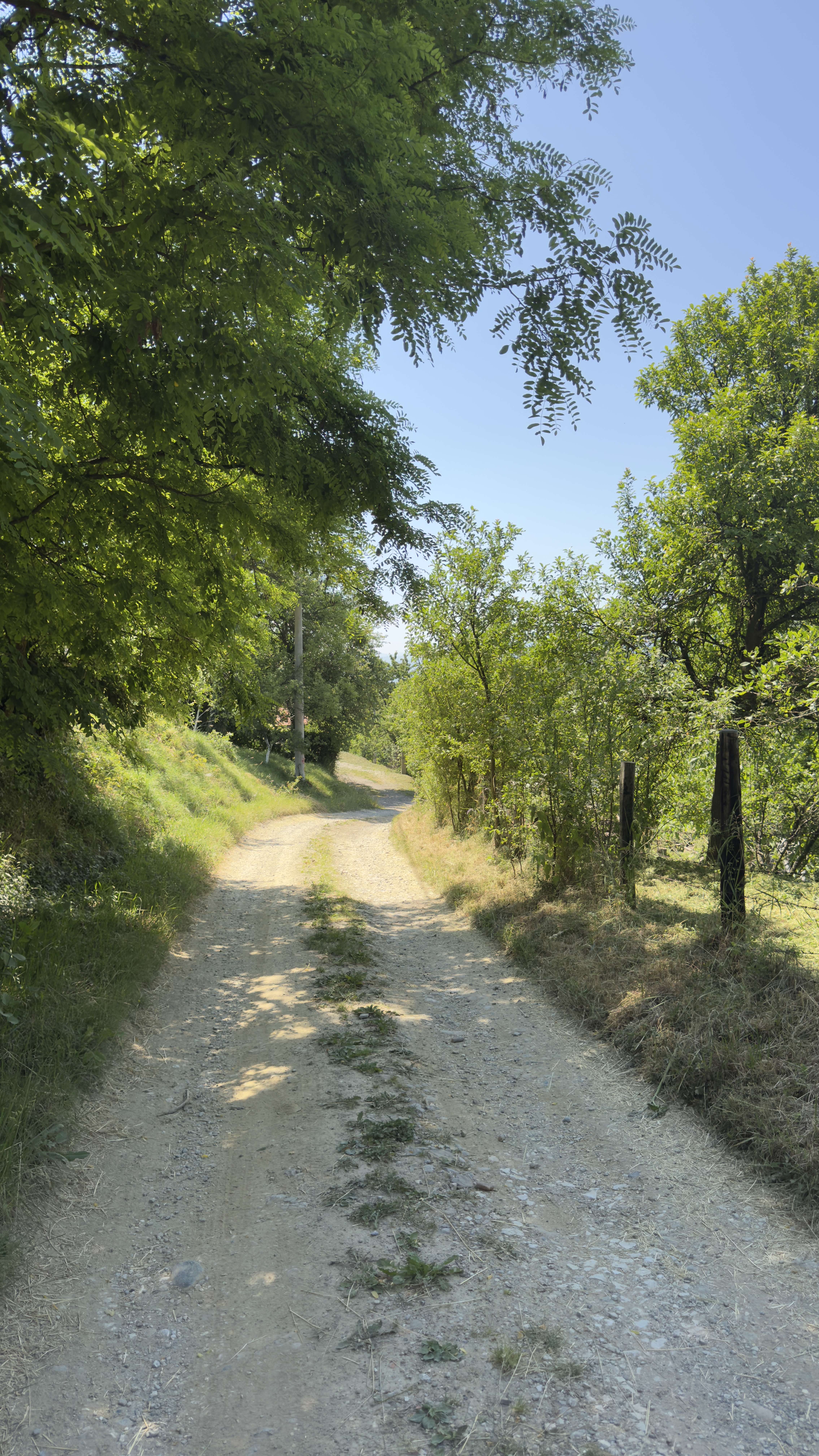 Paljevska, Sarajevo to Paljevska, Sarajevo