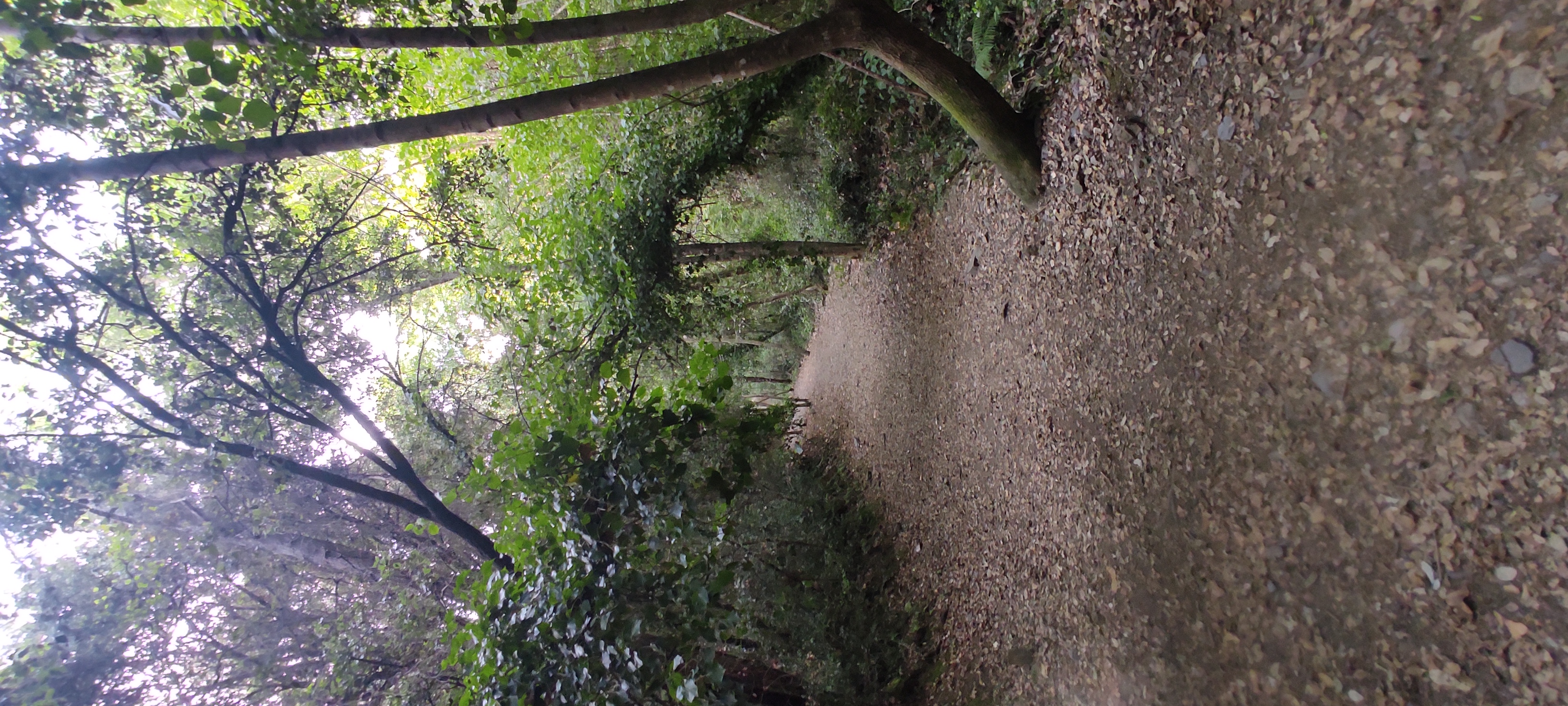 Photo 7 of the Bikemap route "ruta de les aigues vallforners"