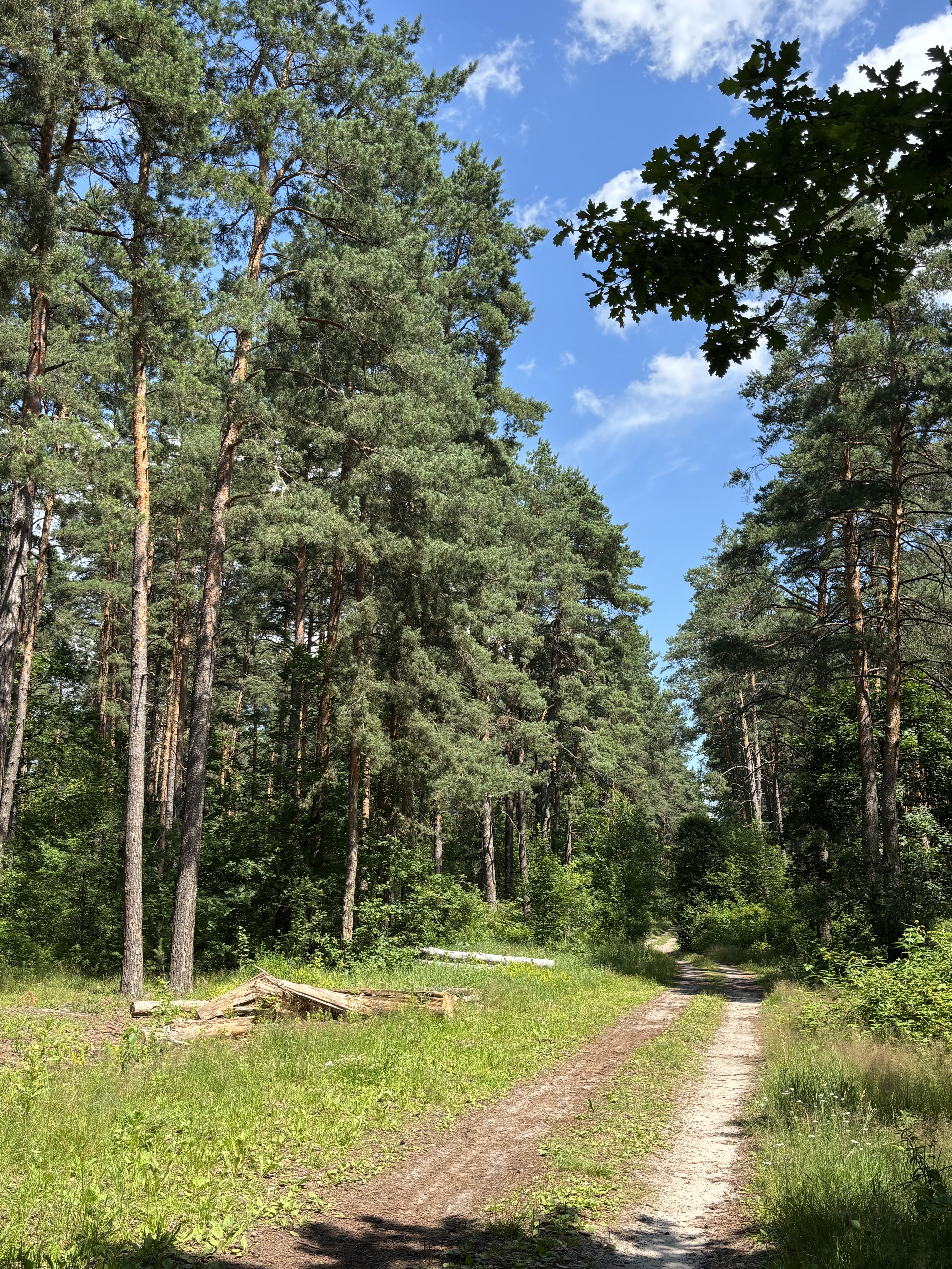 Foto 7 der Bikemap-Route "улица Ильича, Гомель до Хальченский"
