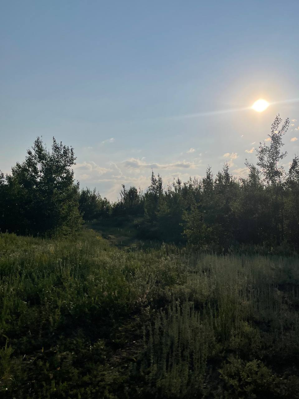 Foto 4 der Bikemap-Route "веном" Foto 4 der Bikemap-Route "веном"