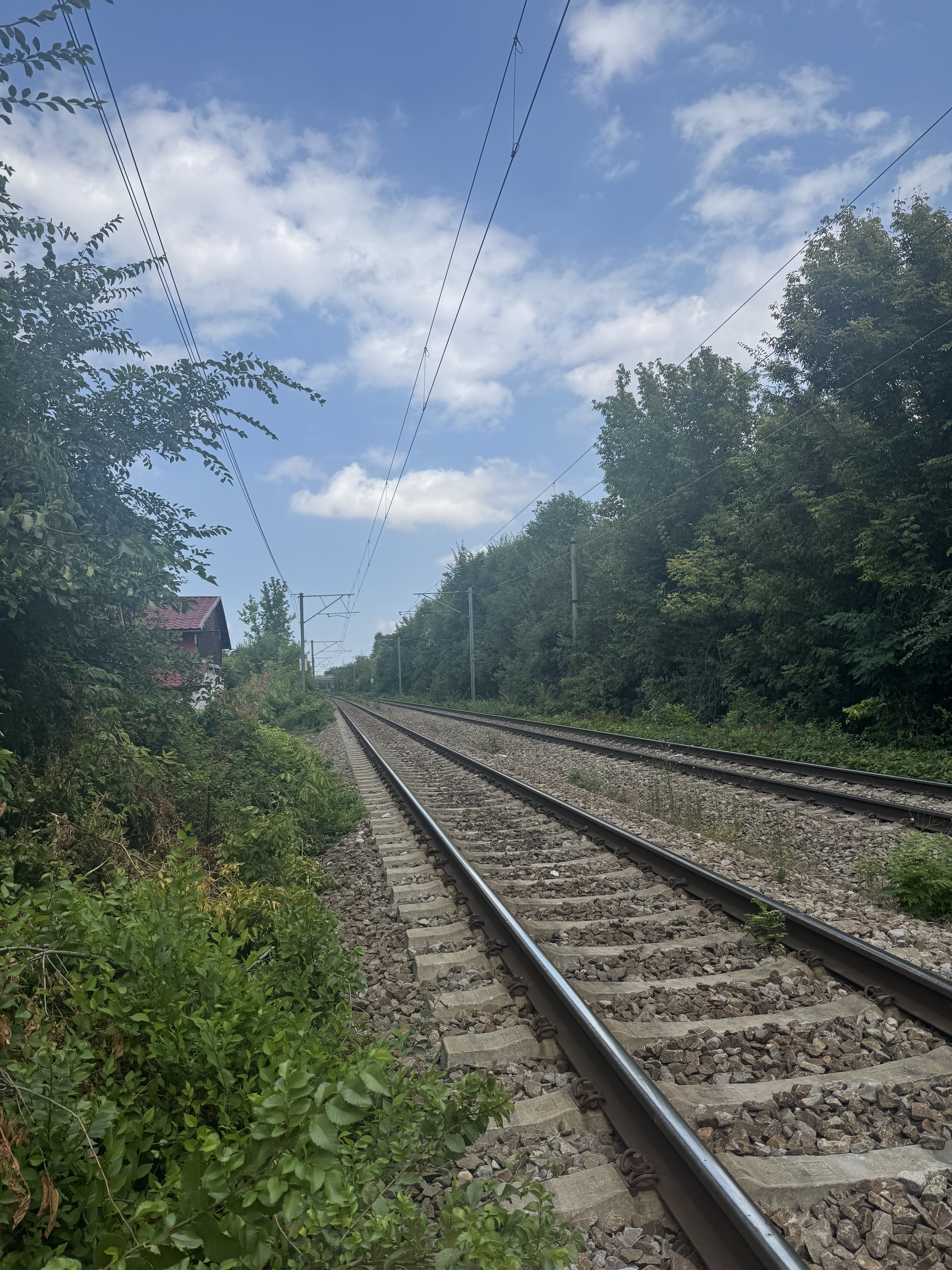 Photo 3 de l’itinéraire Bikemap « 44.511, 26.069 to 44.513, 26.072 » Photo 3 de l’itinéraire Bikemap « 44.511, 26.069 to 44.513, 26.072 »