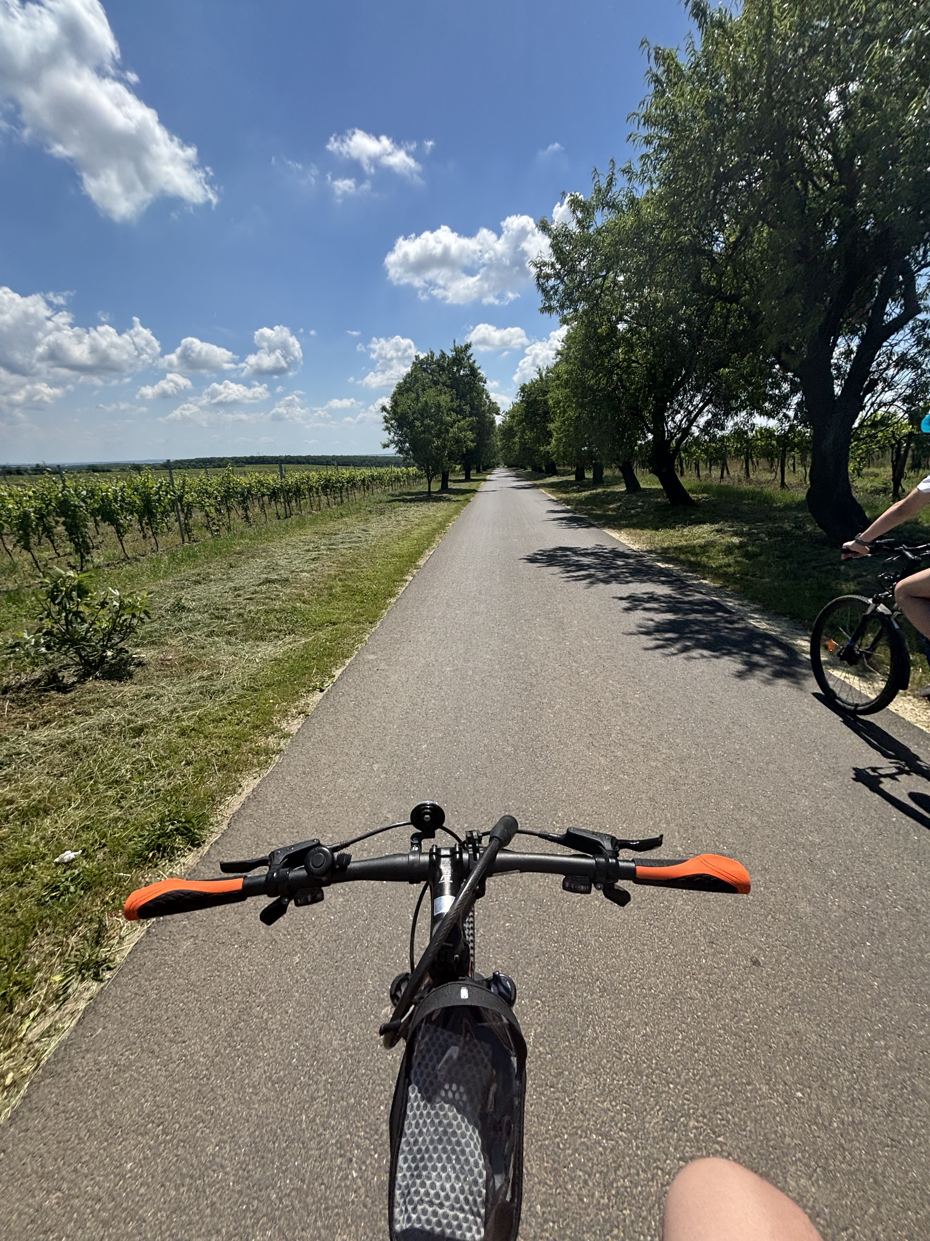 Páty to Velence
