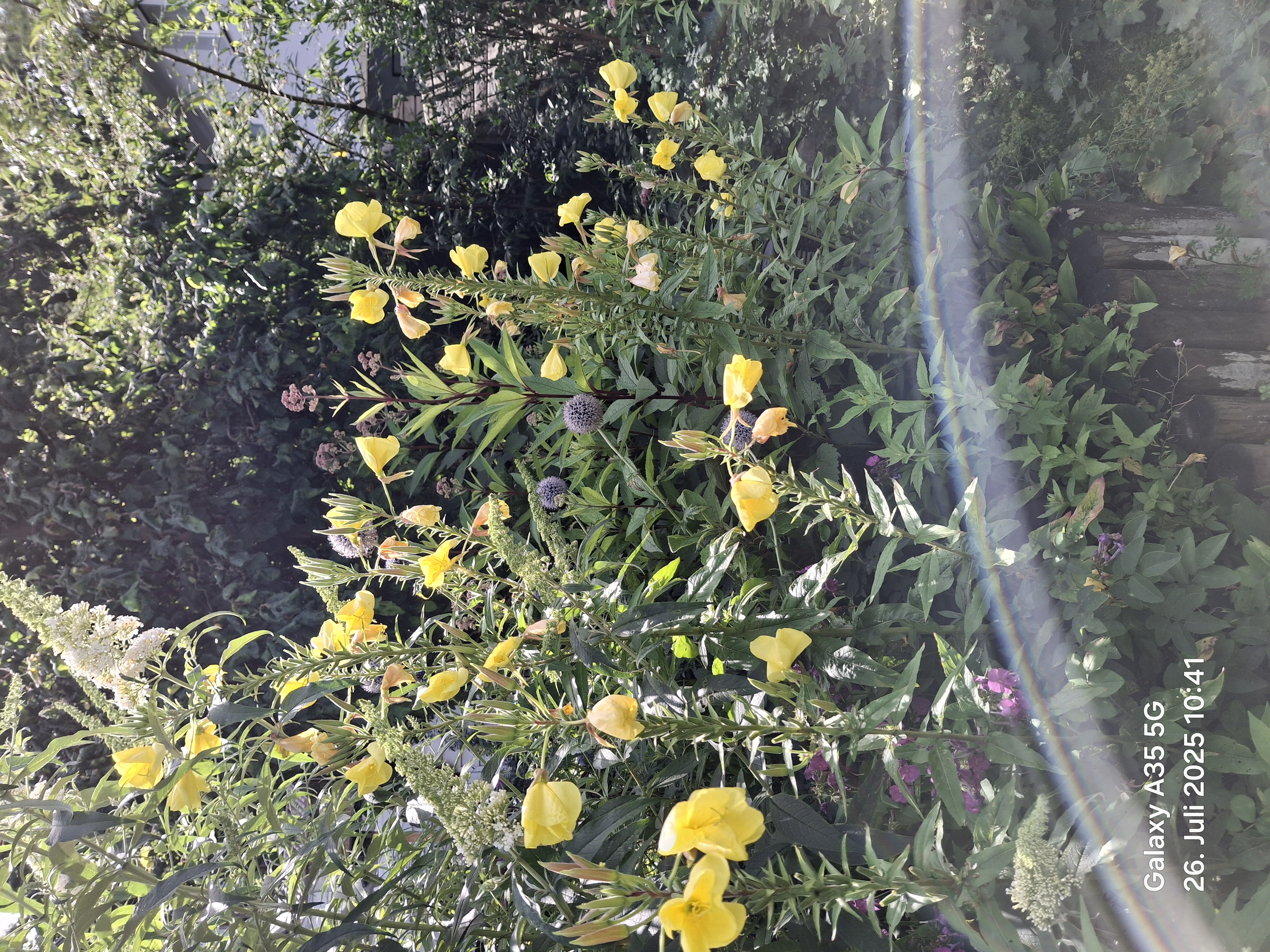 König-Heinrich-Weg nach König-Heinrich-Weg