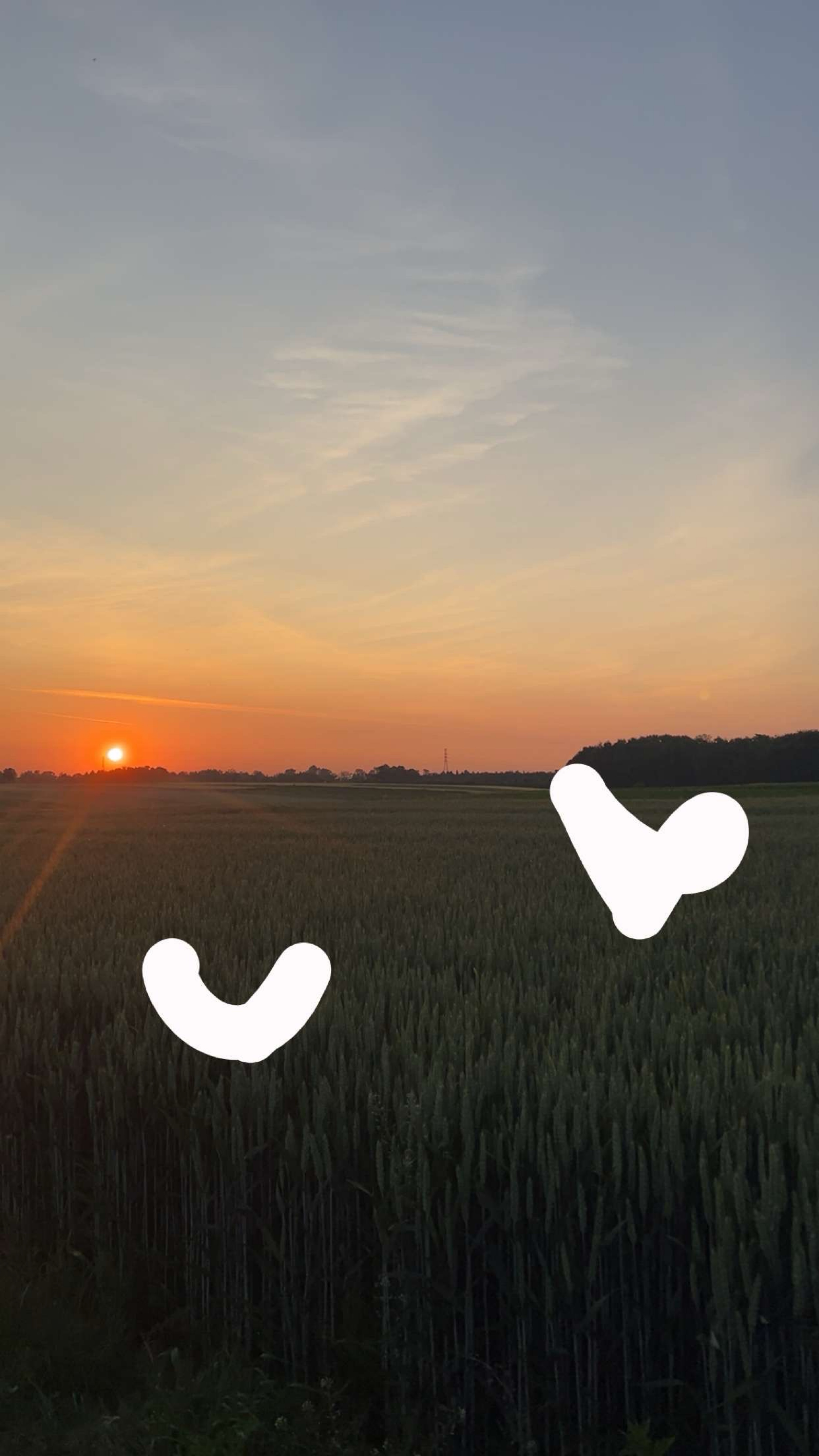 Zaolzie, Stara Wieś to Zaolzie, Stara Wieś