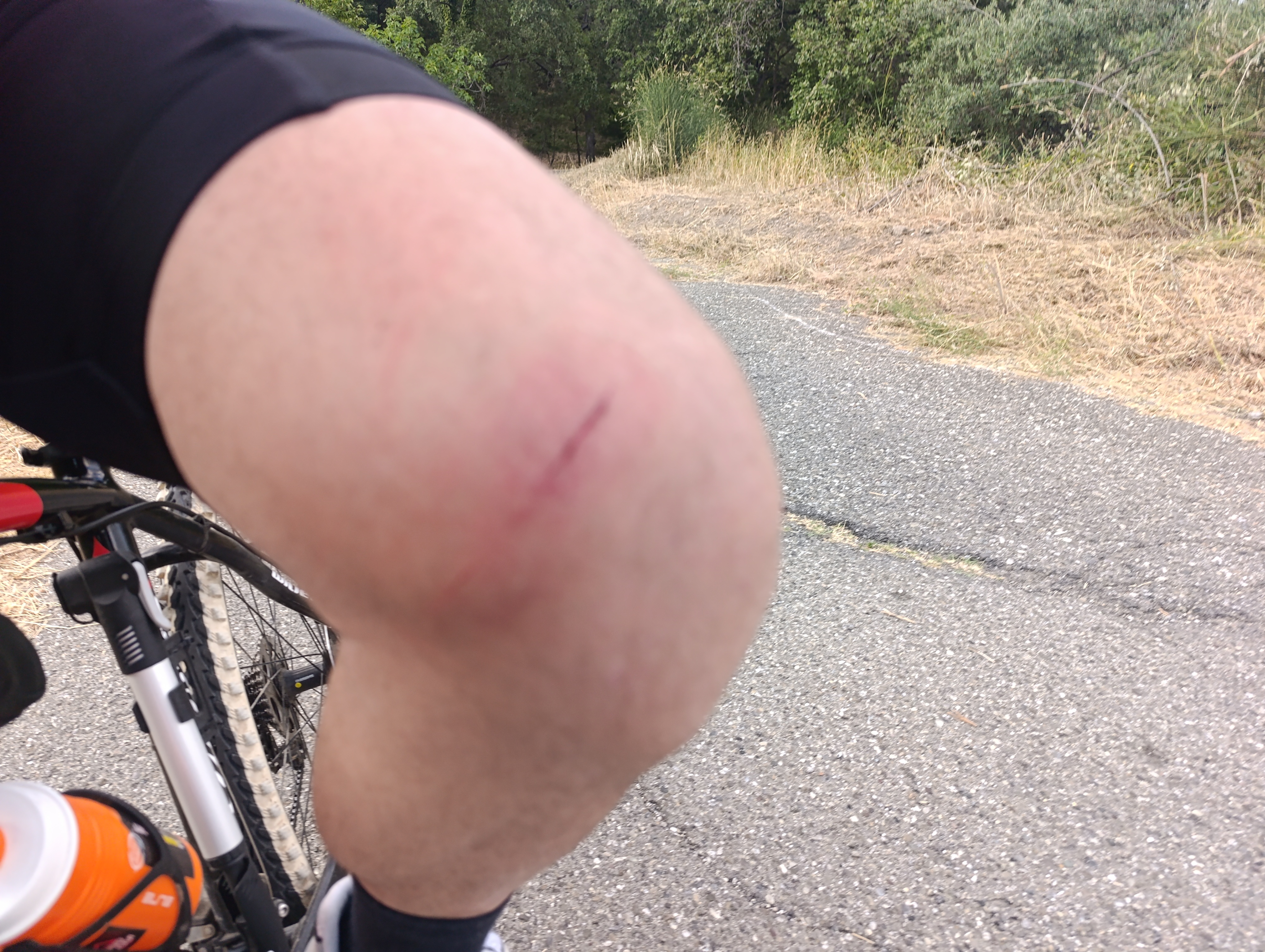 Photo 8 of the Bikemap route "Da Vico IV San Rocco a Prolungamento Roma"