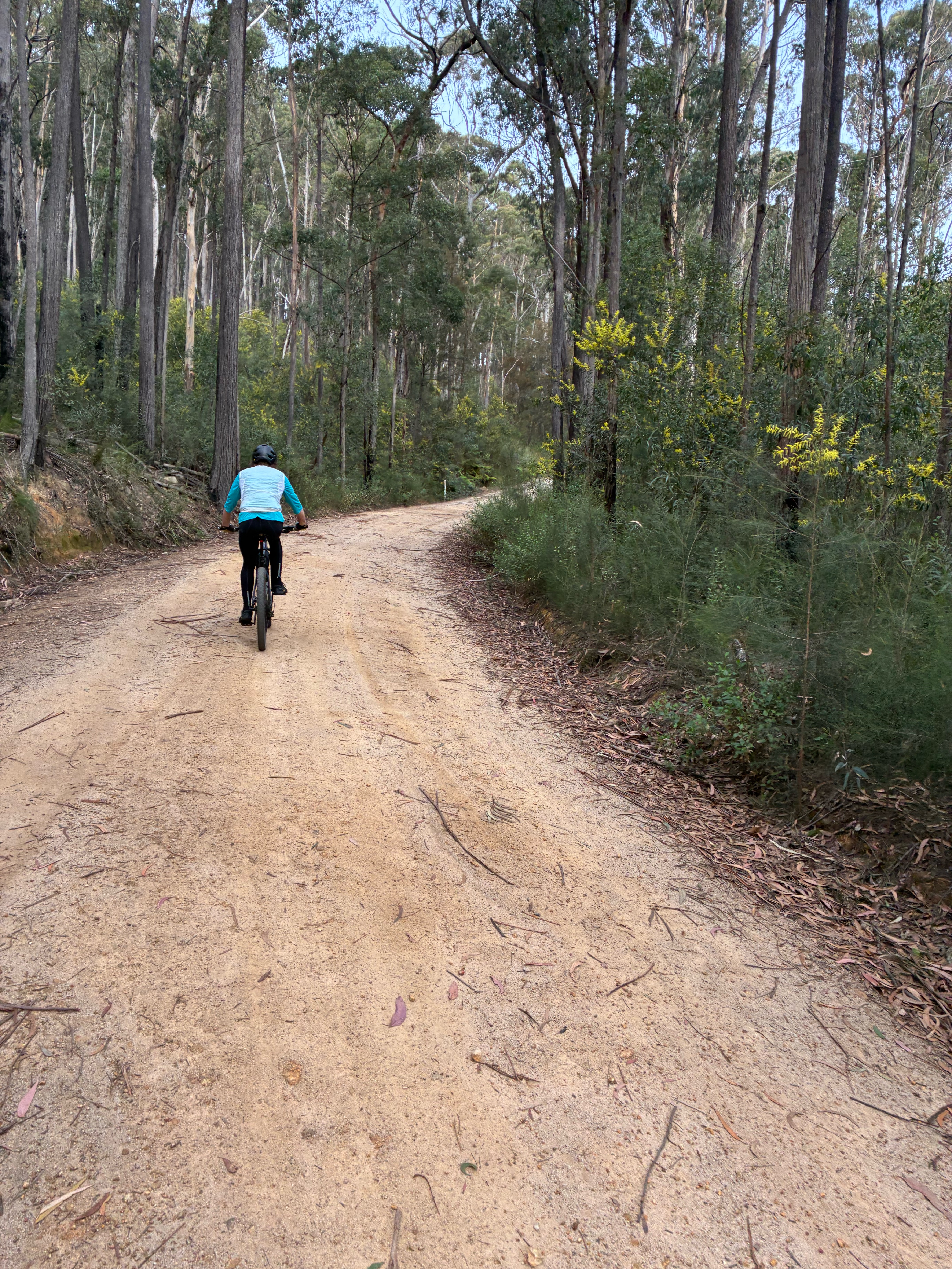 Tarraganda La, Tarraganda to High St, Bega