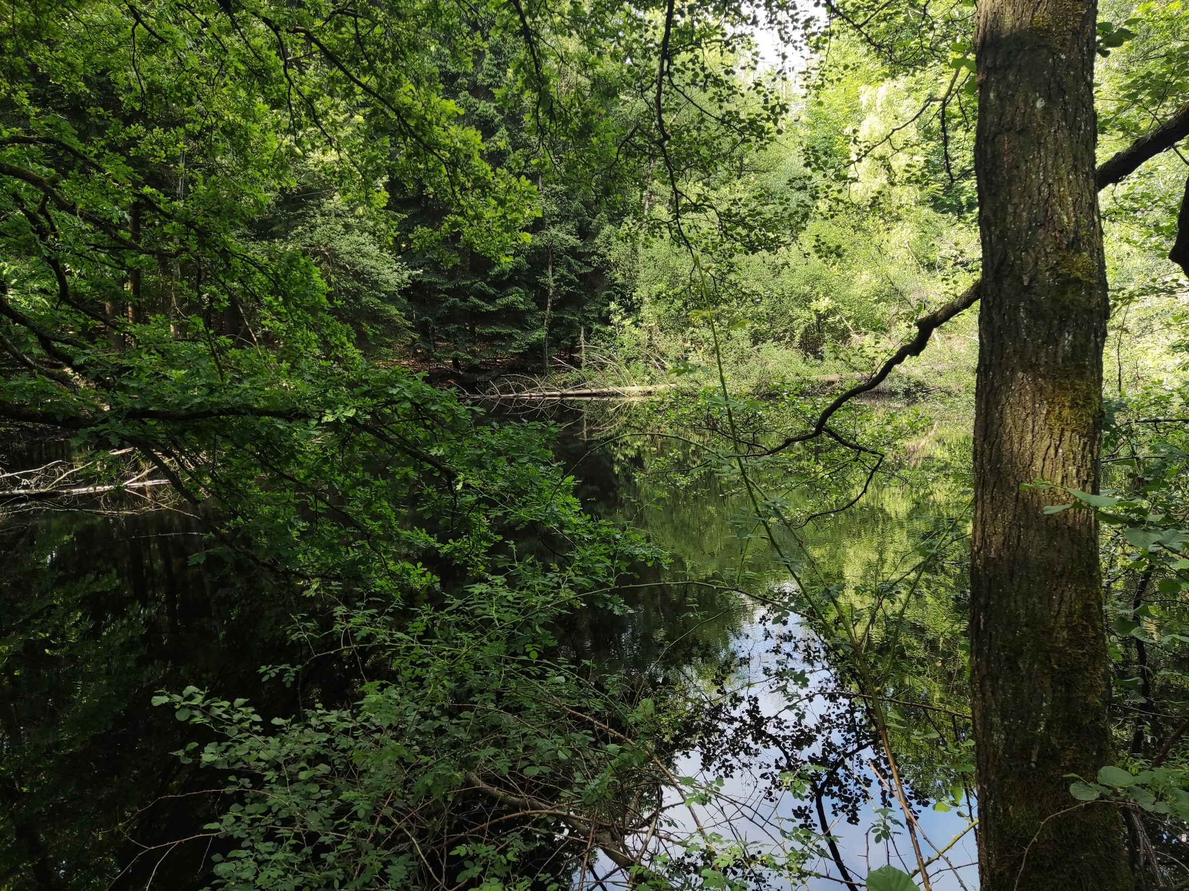 Foto 8 der Bikemap-Route "Oeventrop, Uentrop, Gut Wichel, Schreppenberg, Breitenbruch, Plackweg, Glösinger Handweiser, Oeventrop, Wildshausen, Oeventrop." Foto 8 der Bikemap-Route "Oeventrop, Uentrop, Gut Wichel, Schreppenberg, Breitenbruch, Plackweg, Glösinger Handweiser, Oeventrop, Wildshausen, Oeventrop."
