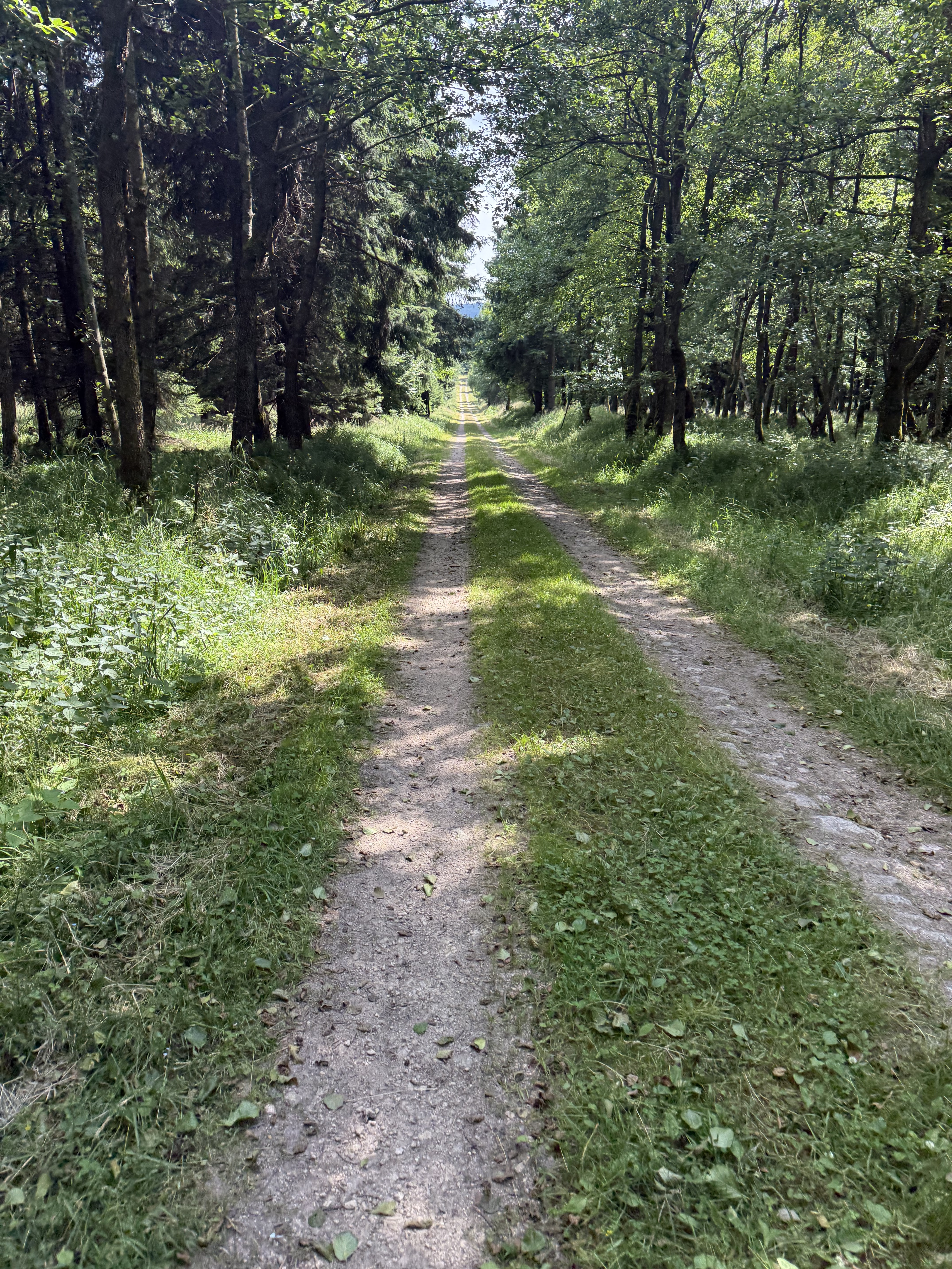 Silnice 01310, Osek do Vilová, Horní Jiřetín