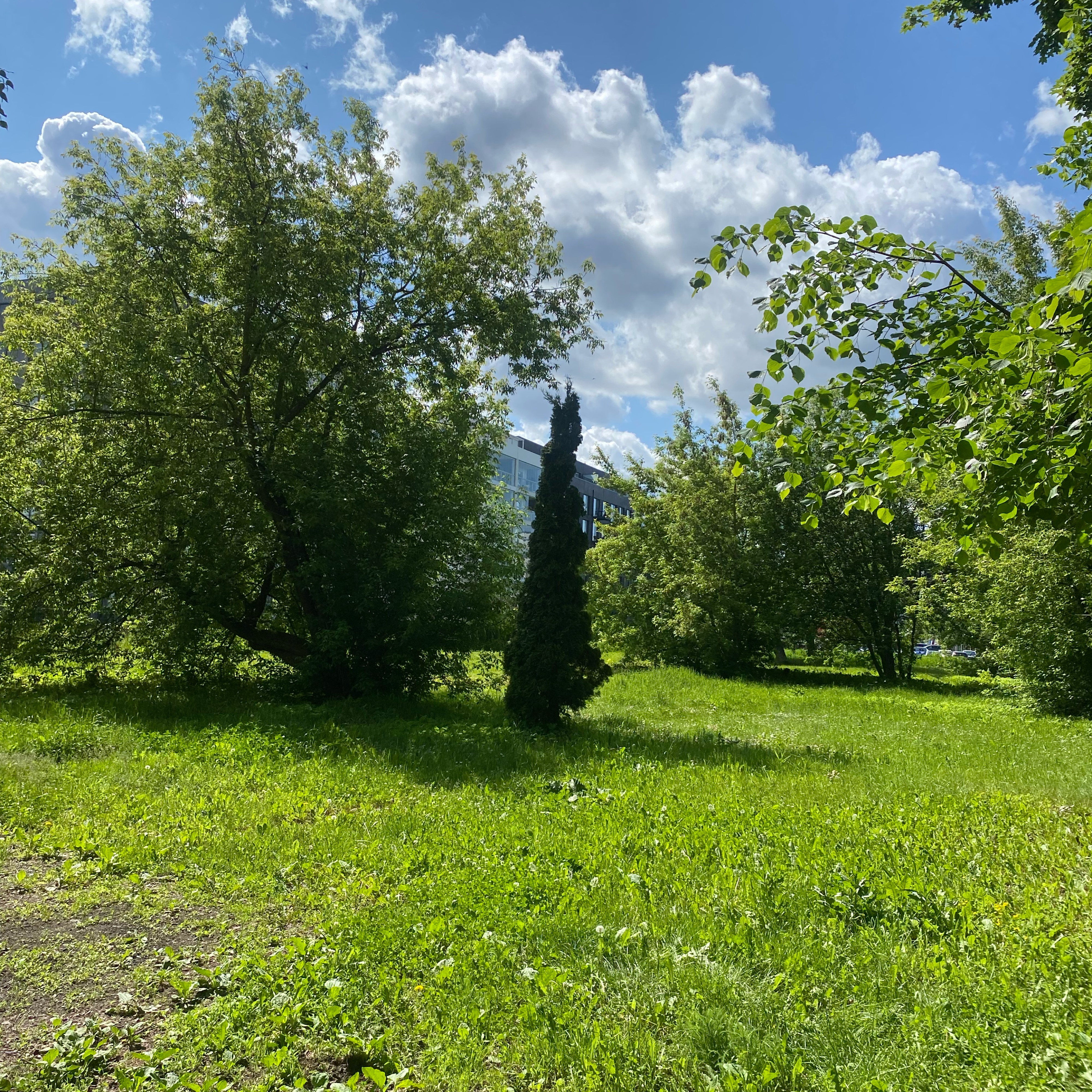 Pētersalas iela, Rīga to Priedaines iela, Babītes pag.
