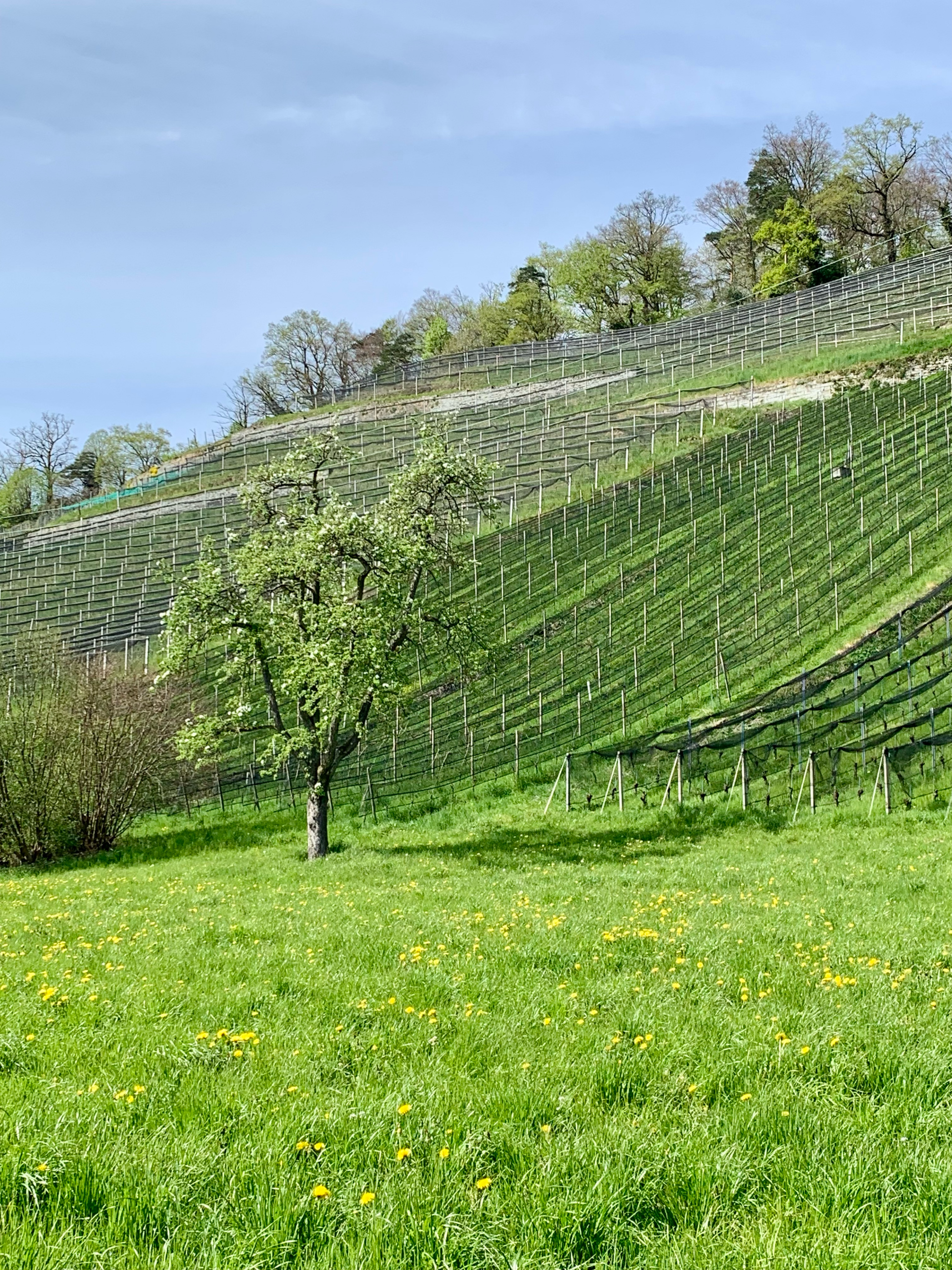 9-Appenzell-Romanshorn-76km-1370Hm 001