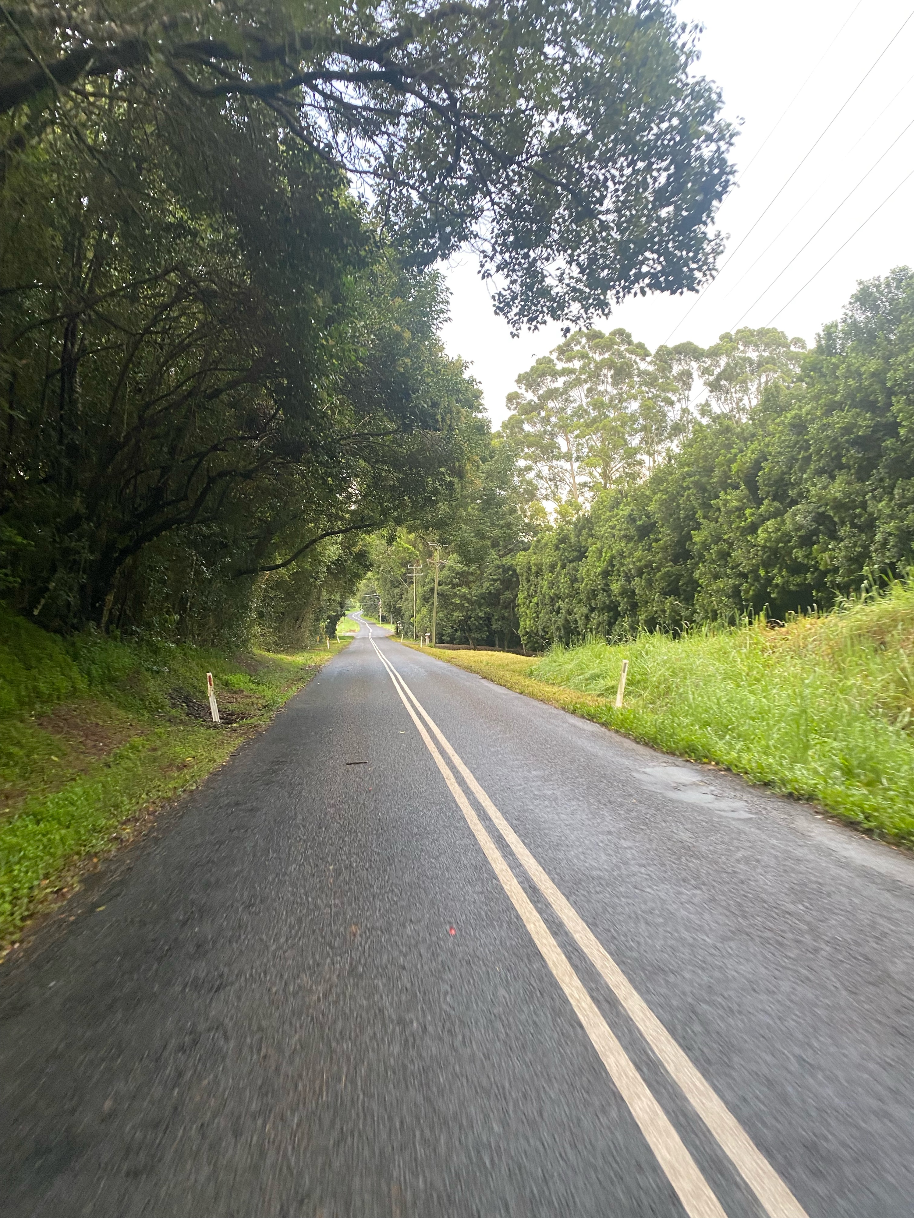 Alstonville - back via Eltham and Numulgi