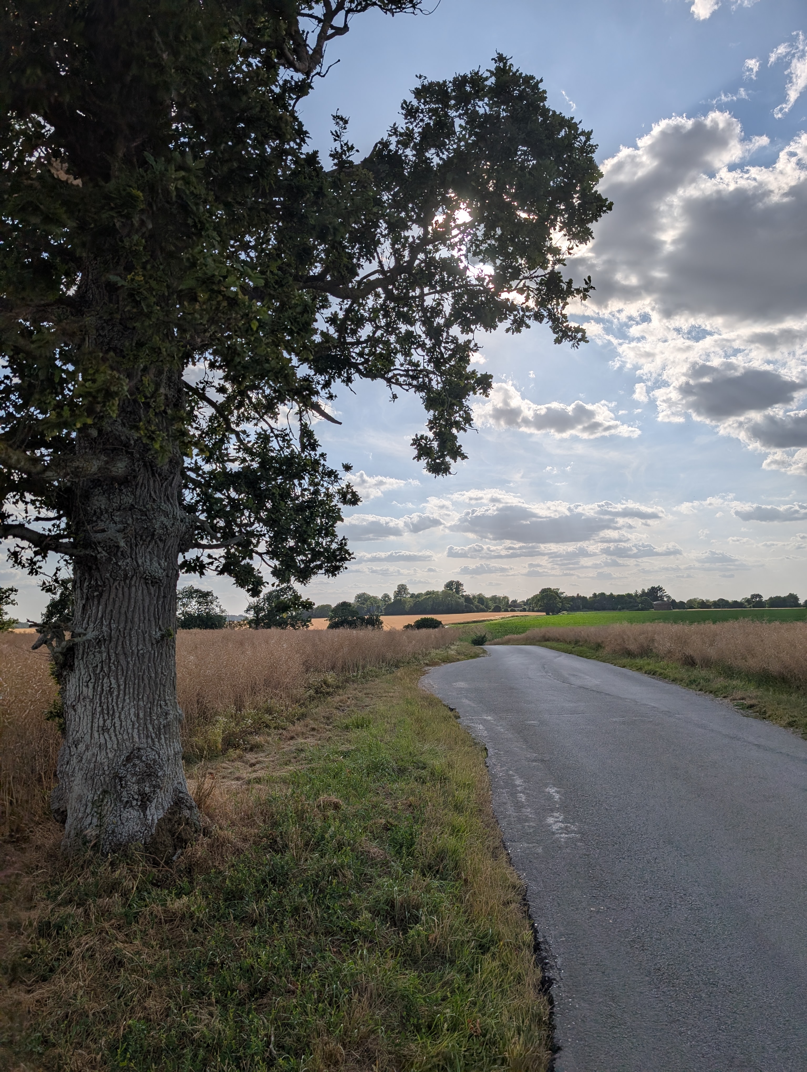 Freshing Fields