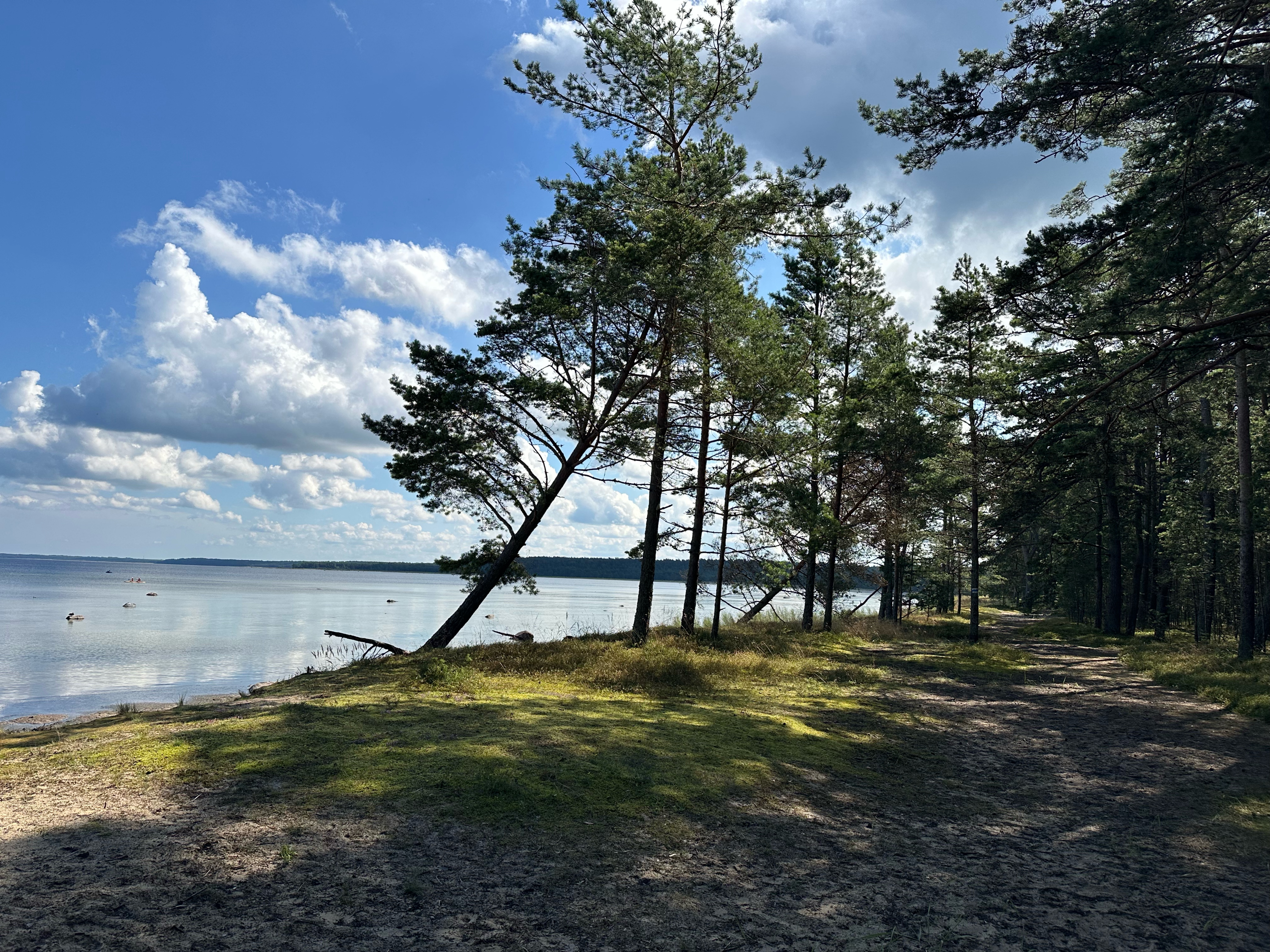 Meremõisa to Rehe põik, Tallinn