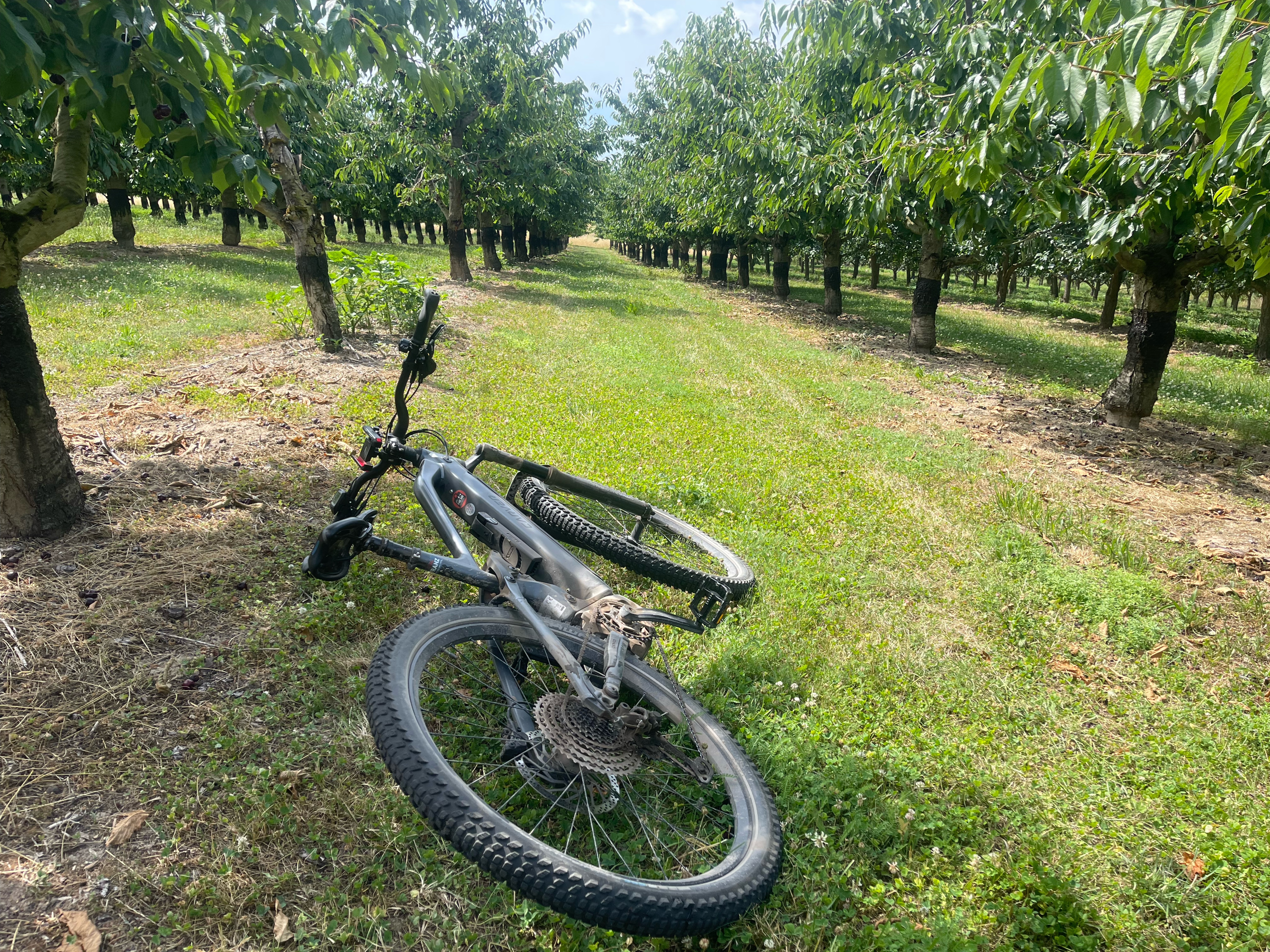 Am Pfingstborn, Ingelheim am Rhein nach Hochstraße, Ingelheim am Rhein