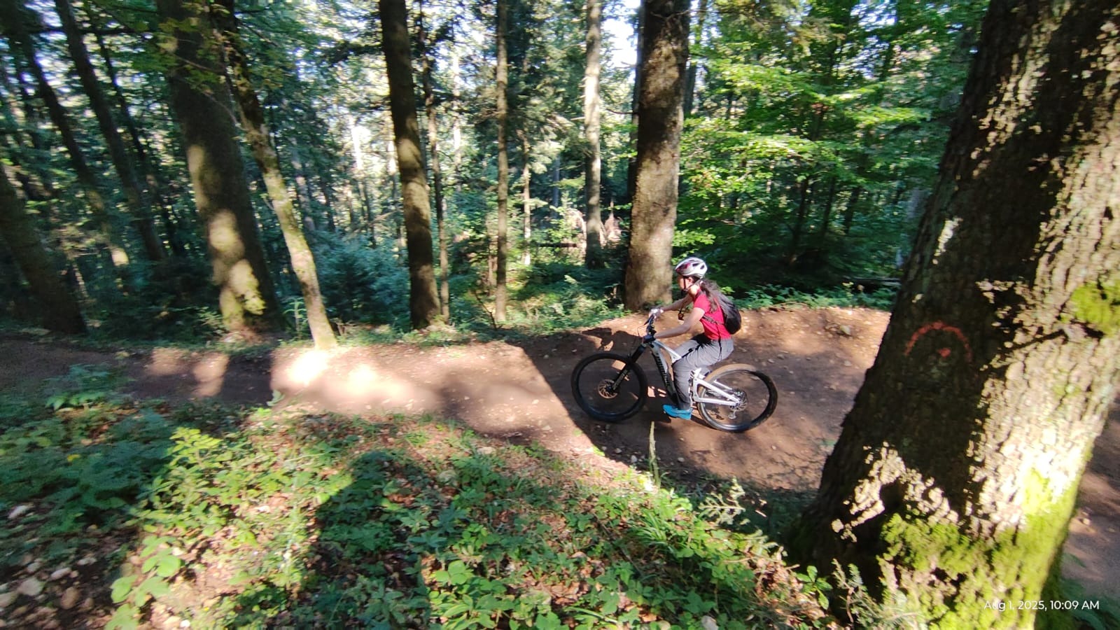 PostavaruMnt - Alpin Cariera Icpat BlueLine