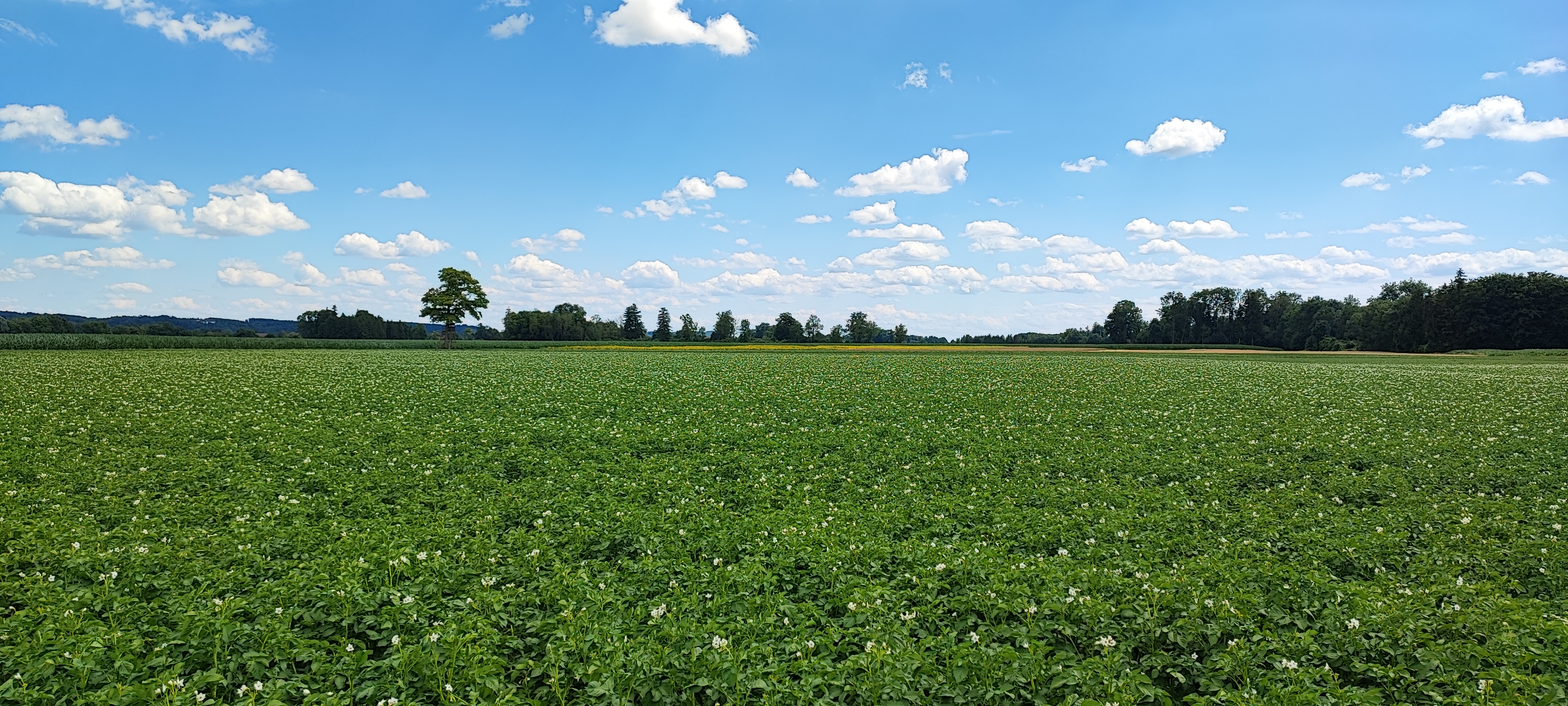 Kreuzstraße nach Kreuzstraße