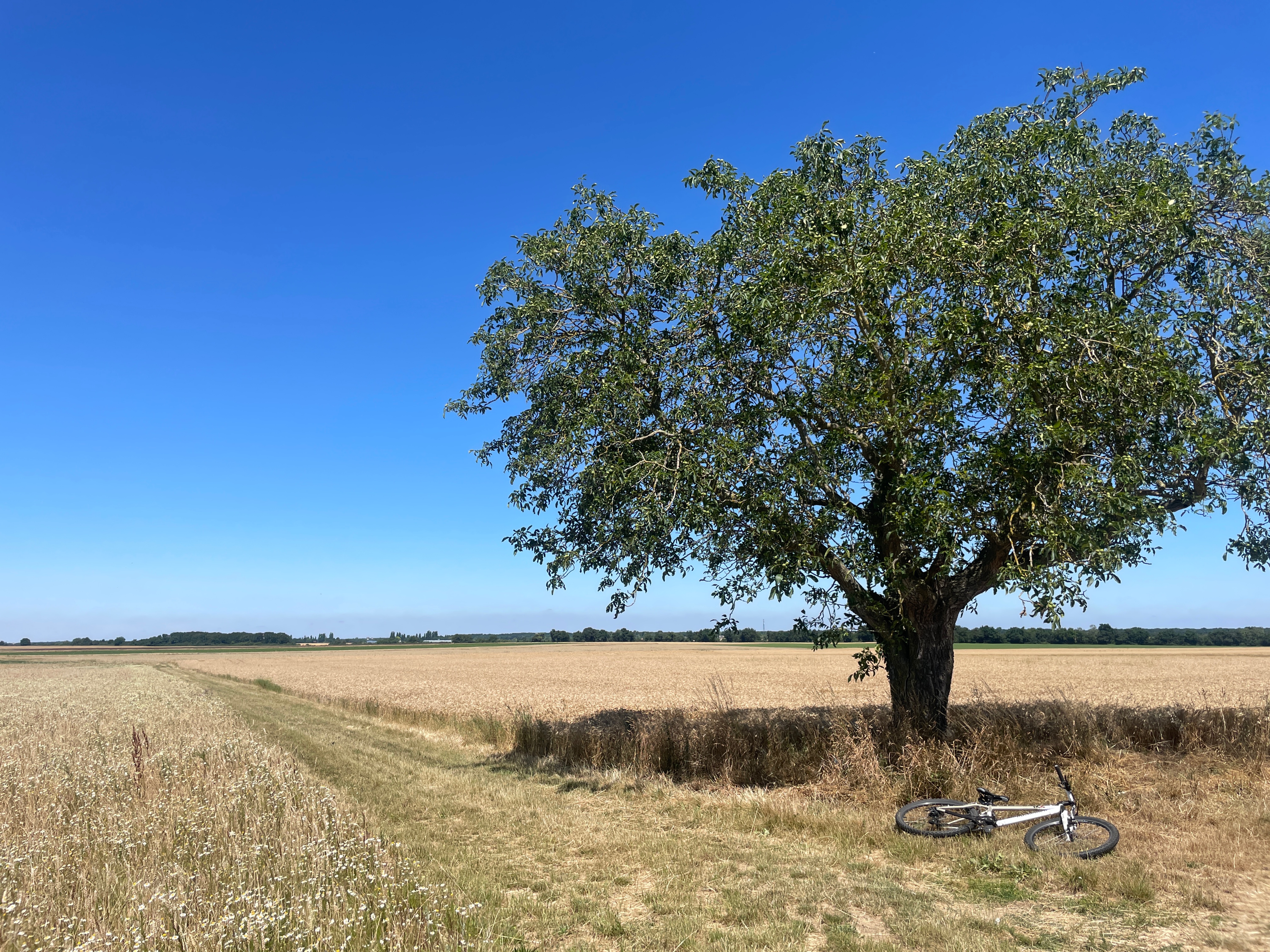 Montigny-sur-Loing/ Villiers-sous-grez/Ury