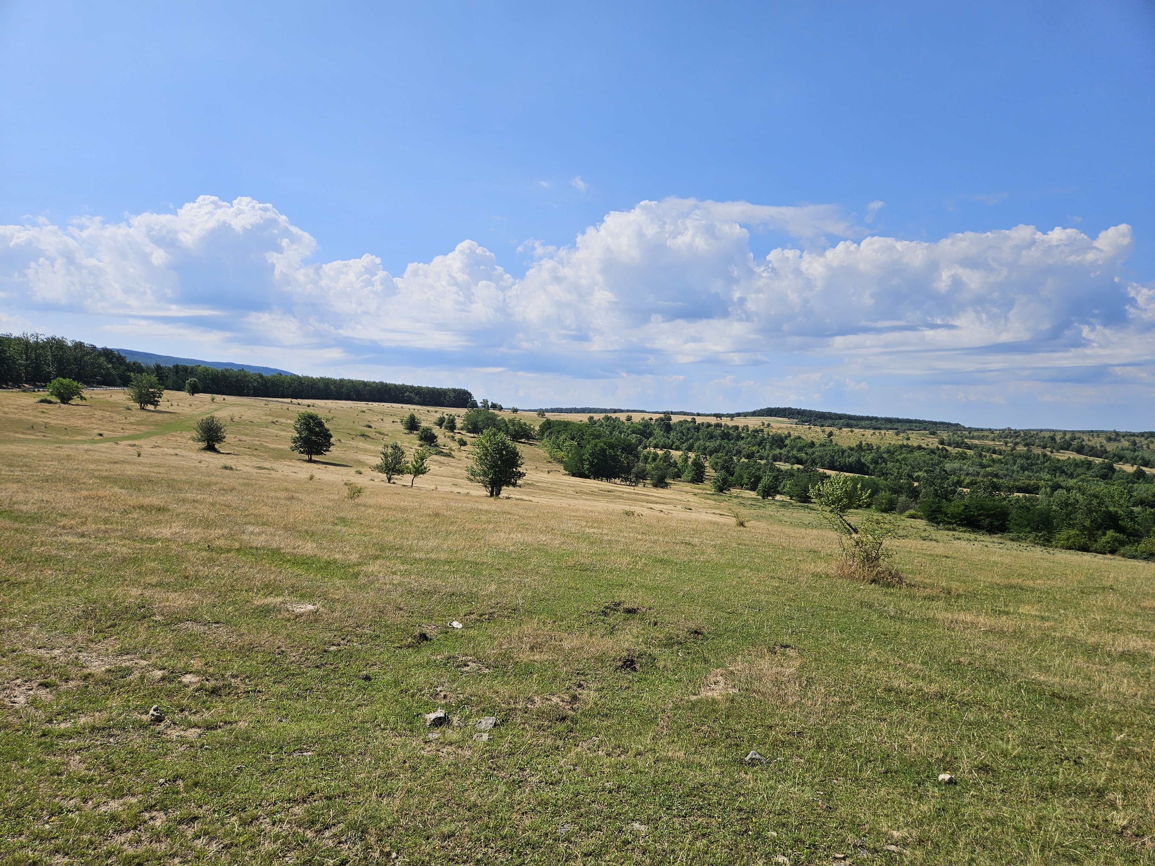 Útvonal innen: DJ193C