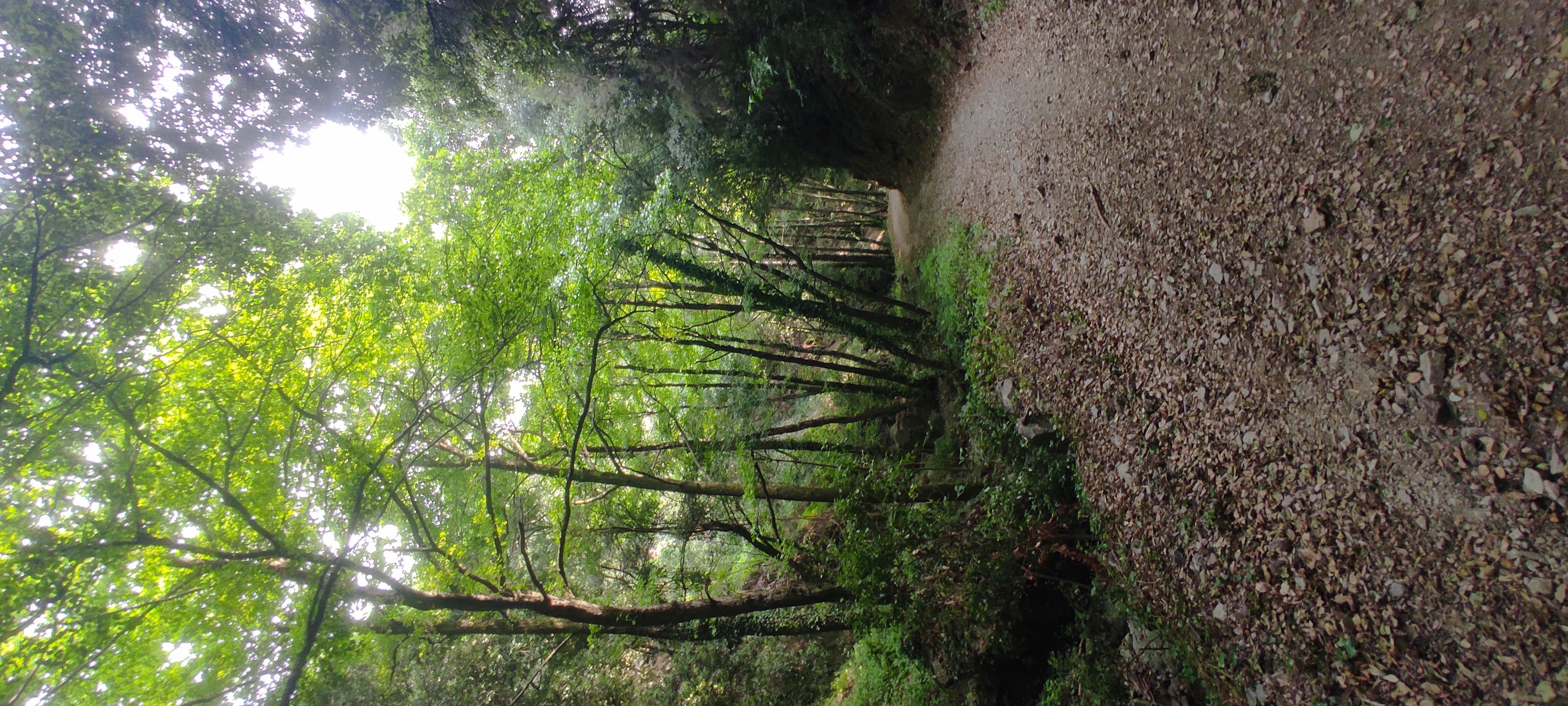 Photo 8 of the Bikemap route "De BV-5151 KM a Urbanitzacio la Parellada"