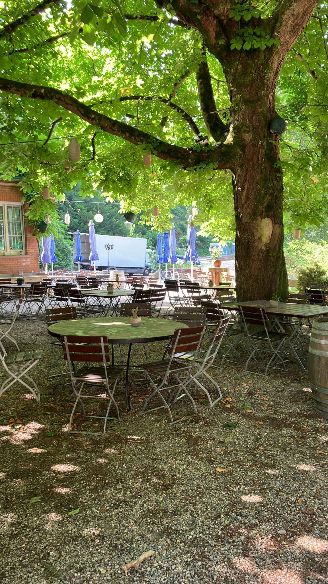 Foto 8 der Bikemap-Route "Roßkopftour"