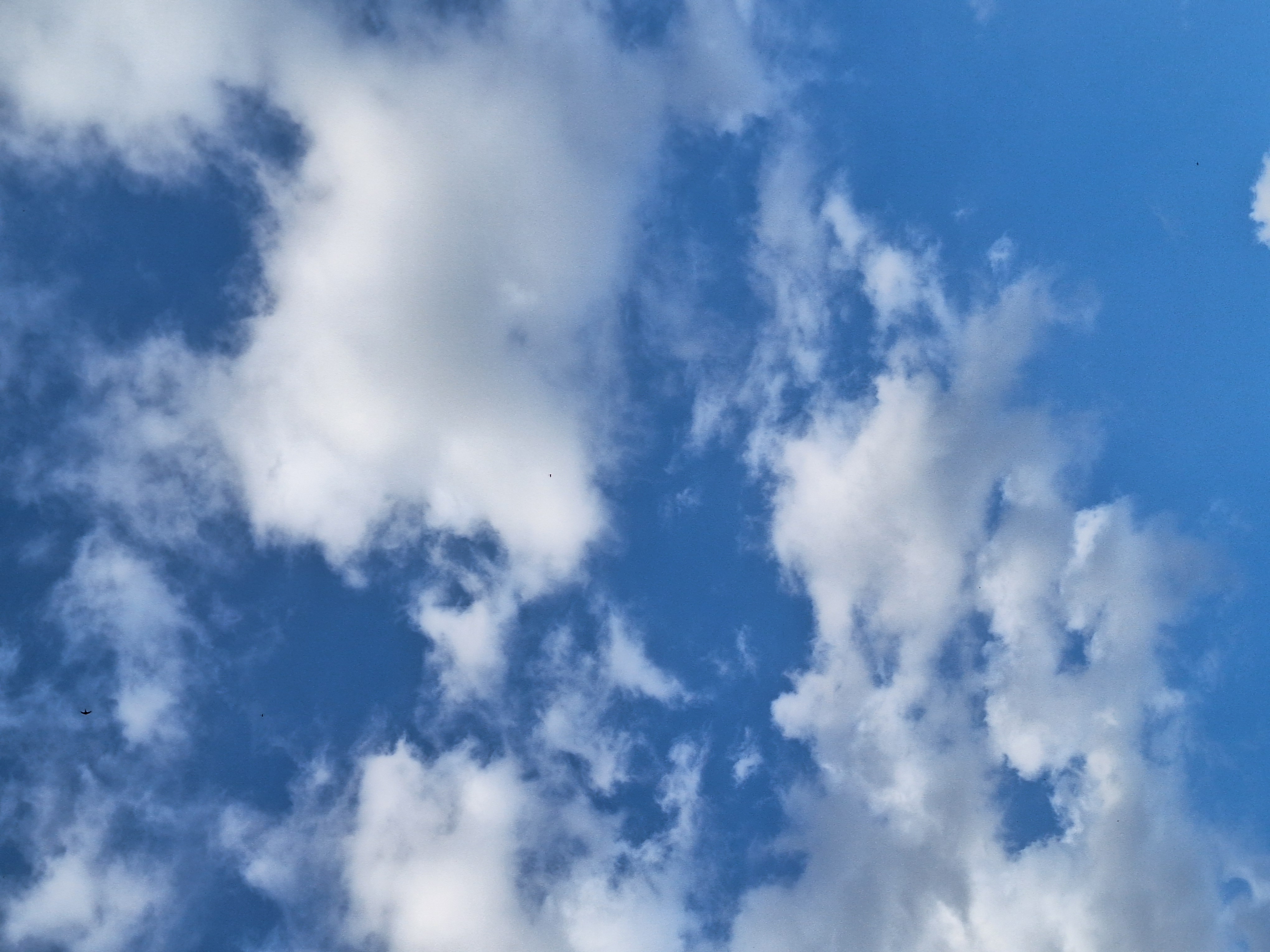 Медленная езда