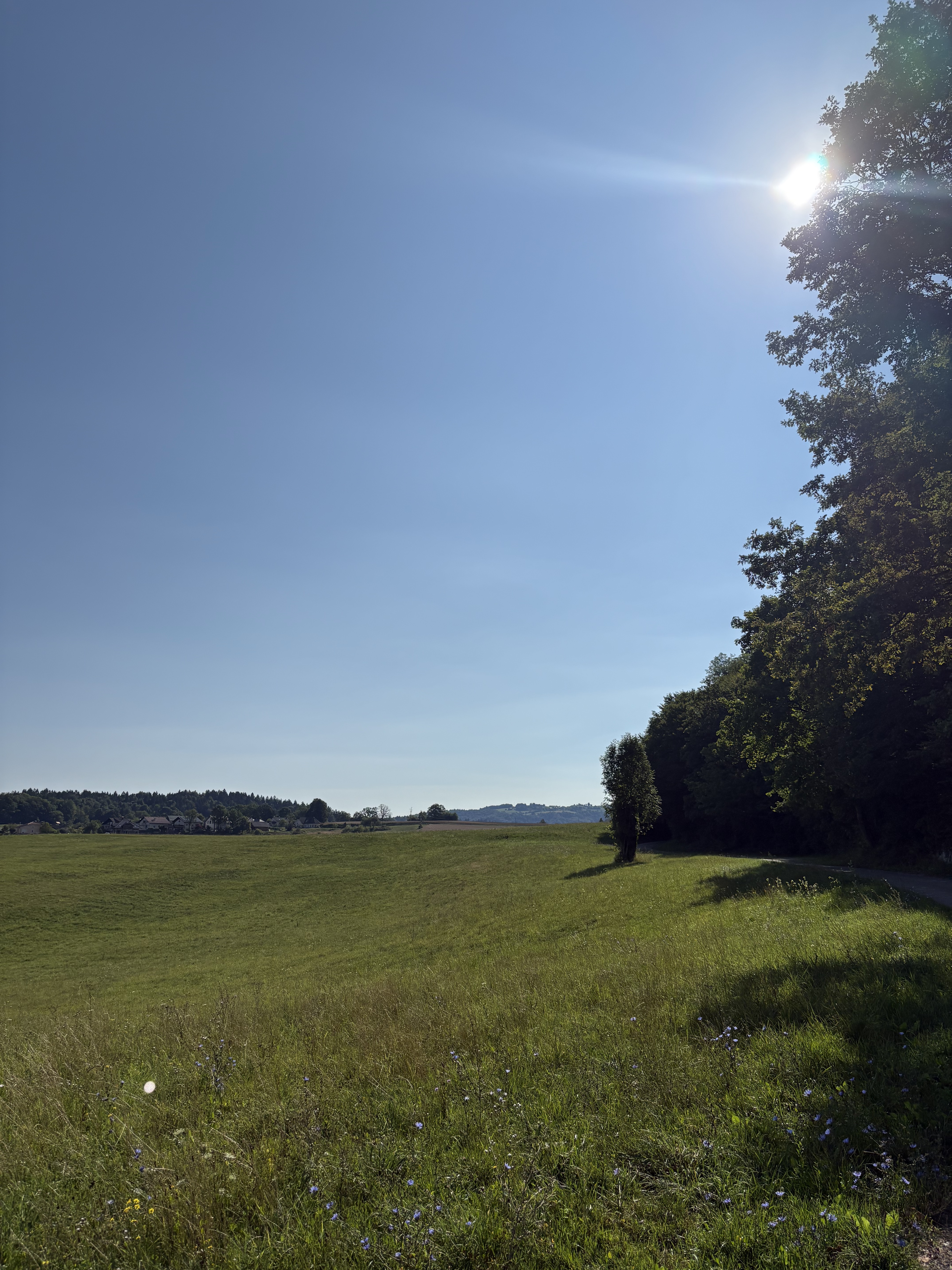 Zaloška cesta, Ljubljana to Tušev Dol, Črnomelj