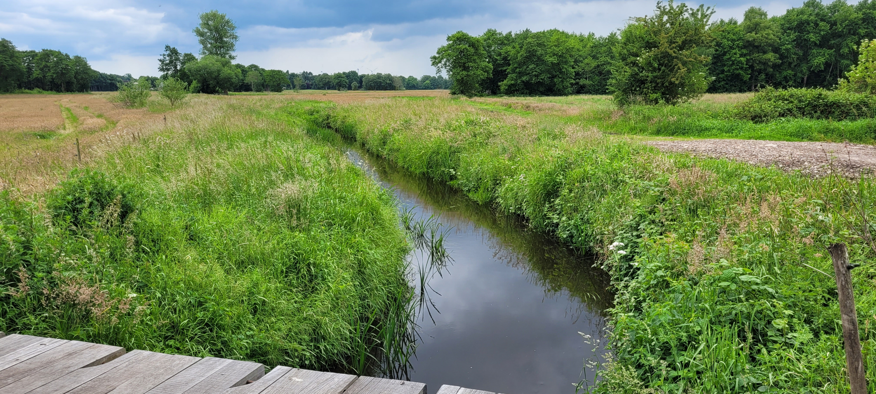 Photo 2 of the Bikemap route "Pfingstmontag" Photo 2 of the Bikemap route "Pfingstmontag"