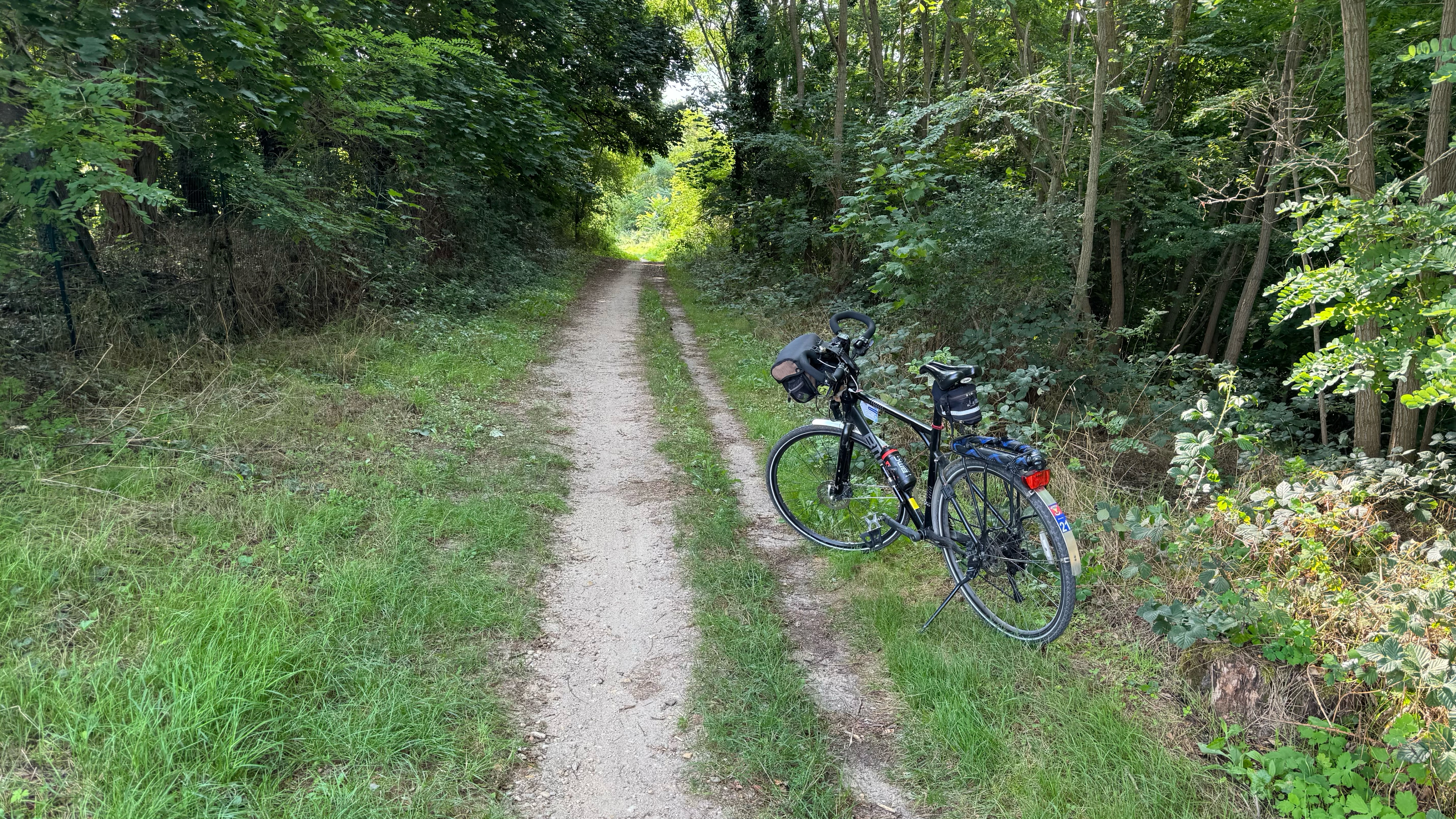 Saint-Jean-le-Blanc à Chemin de la Salle Verte, Sully-sur-Loire