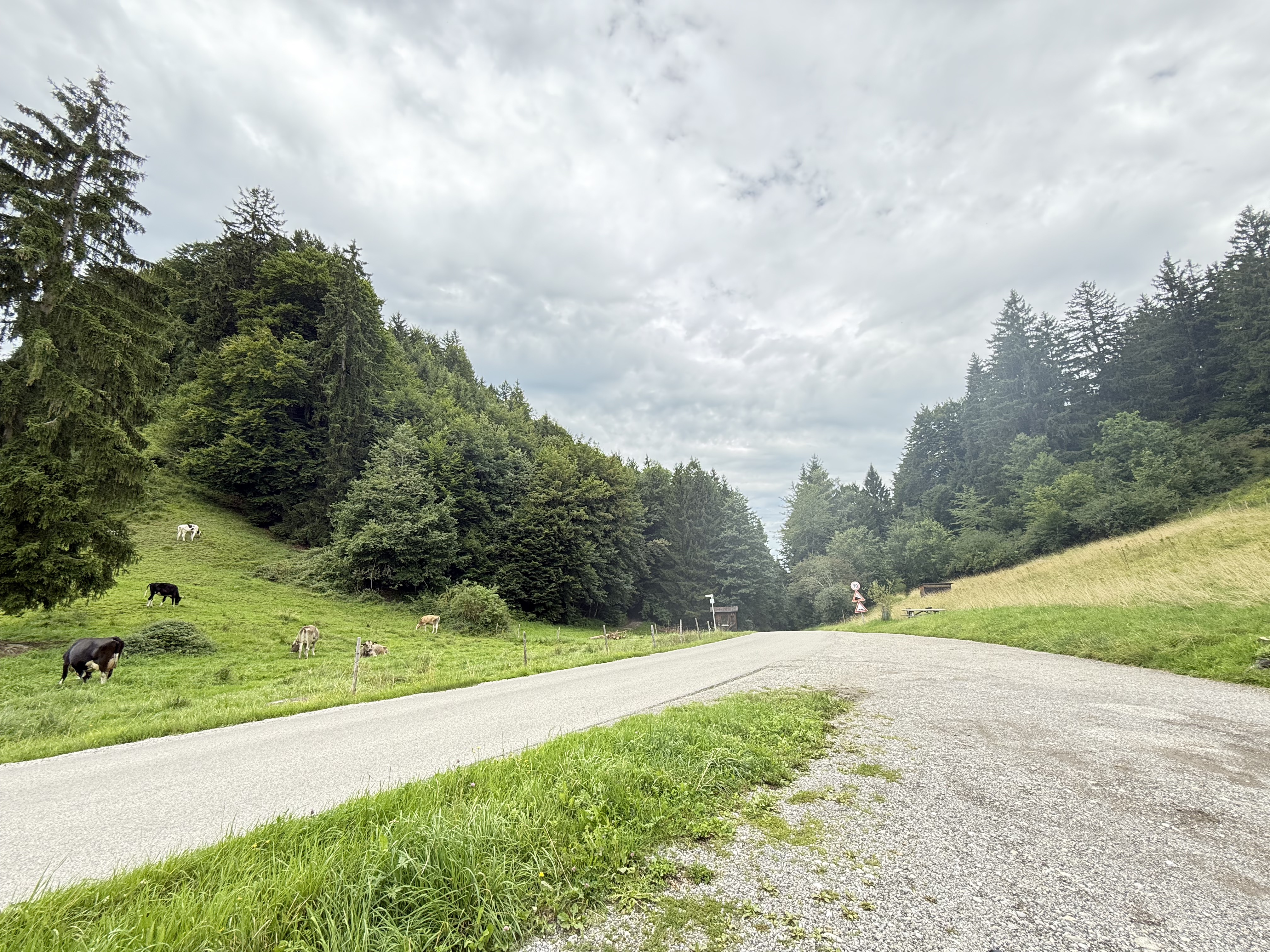 Alpseestraße, Schwangau nach Frauenbergstraße, Schwangau