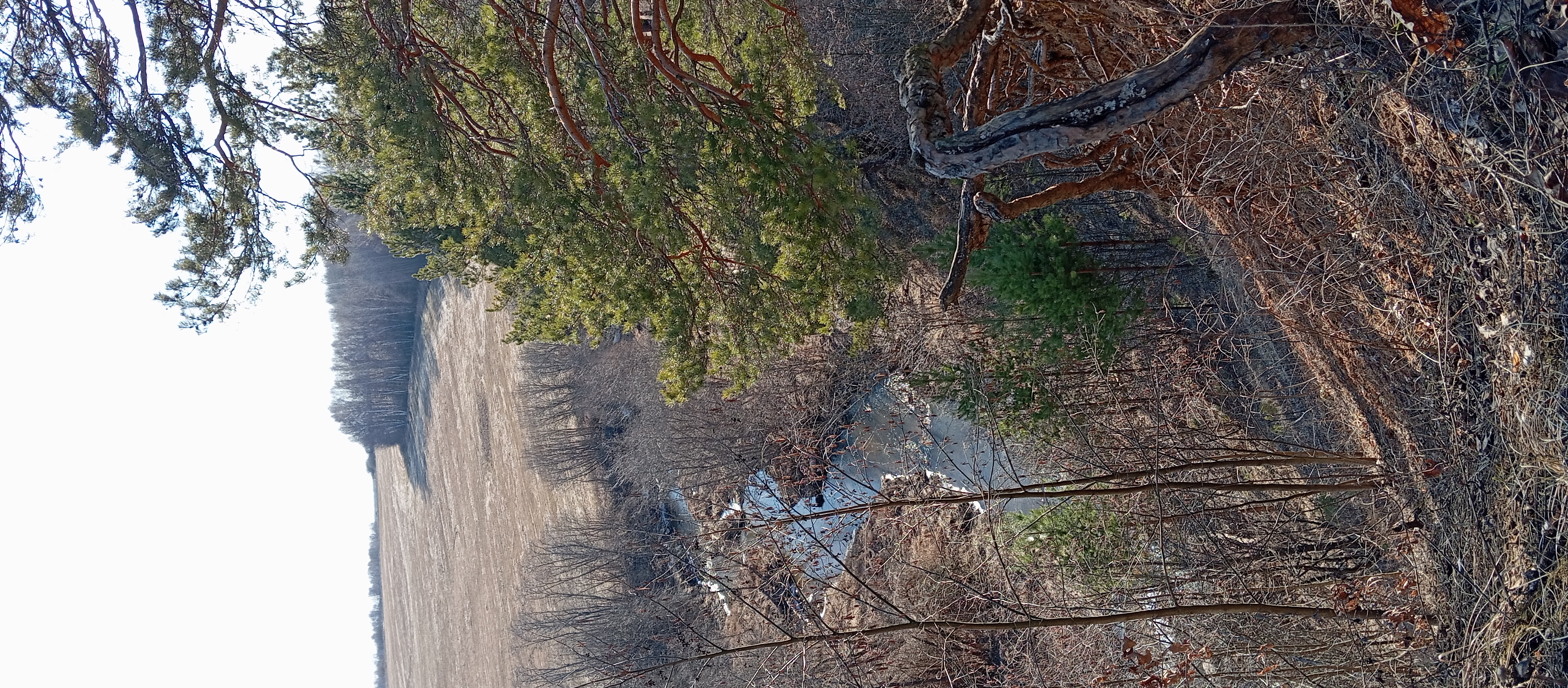 ТурбоКурба 👏