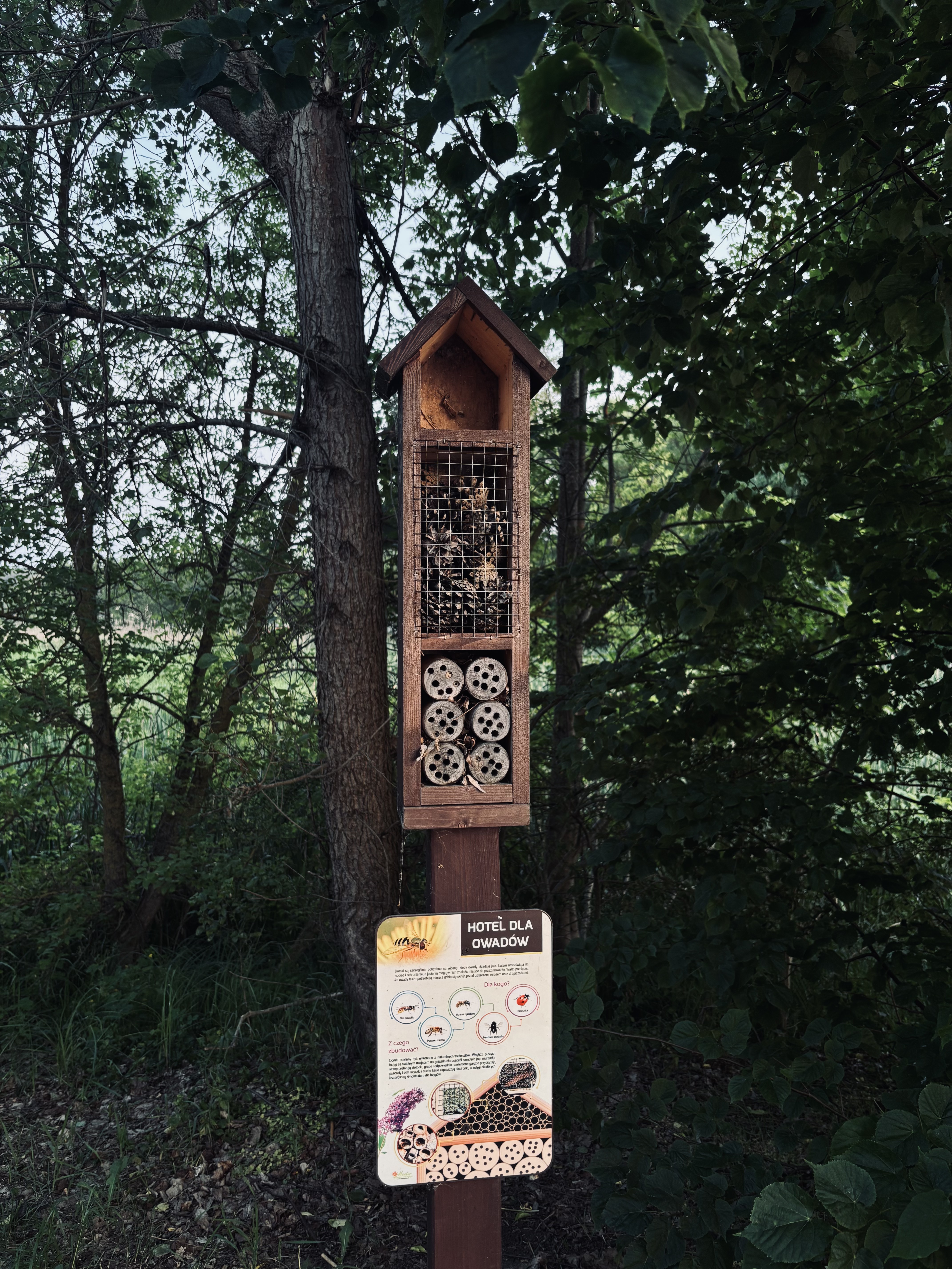 al Józefa Piłsudskiego, Białystok do al Józefa Piłsudskiego, Białystok