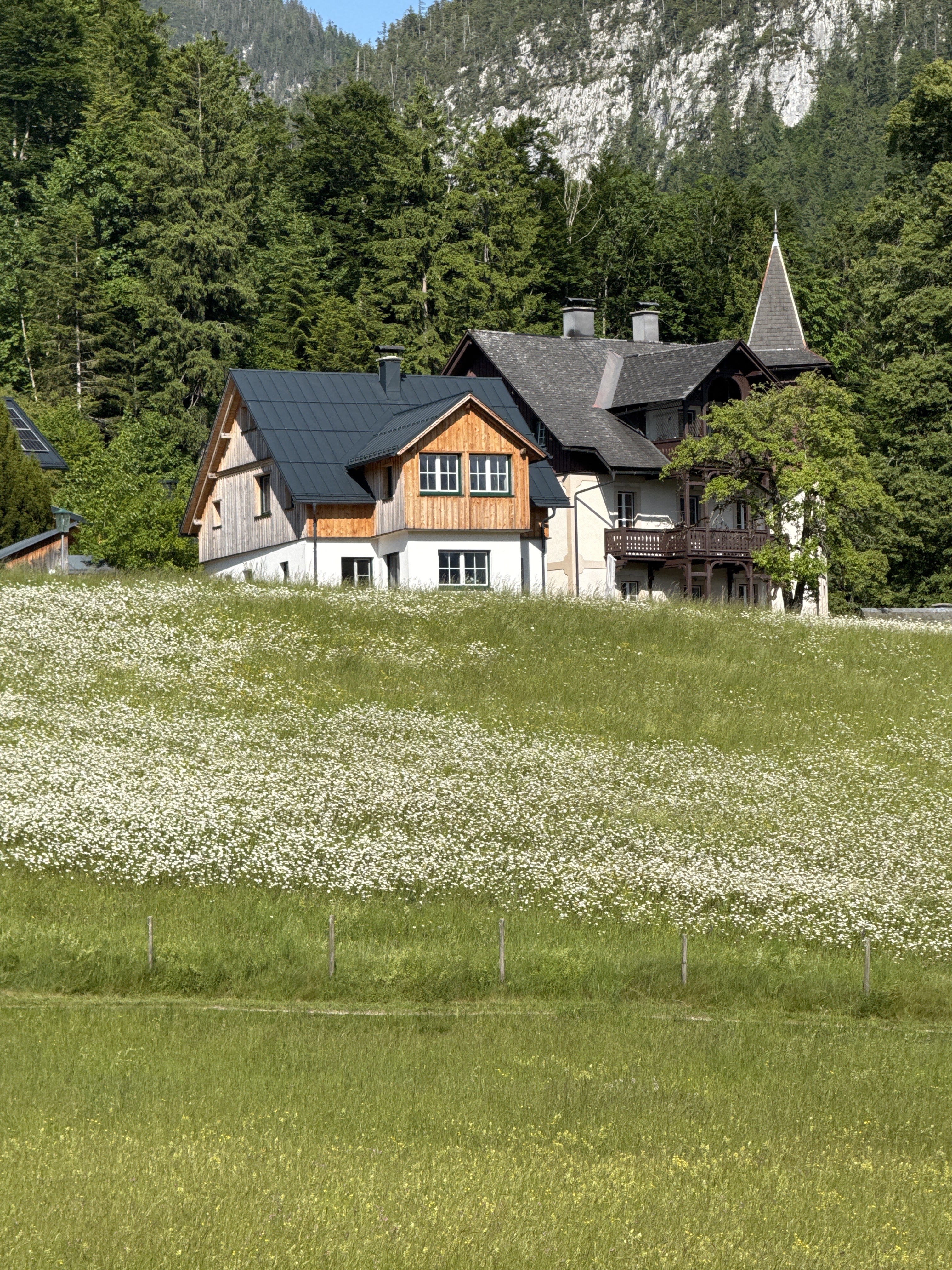 Altaussee-Blaa-Alm-Bad Aussee-Narzissenfest 2025.  🚴‍♂️🚴