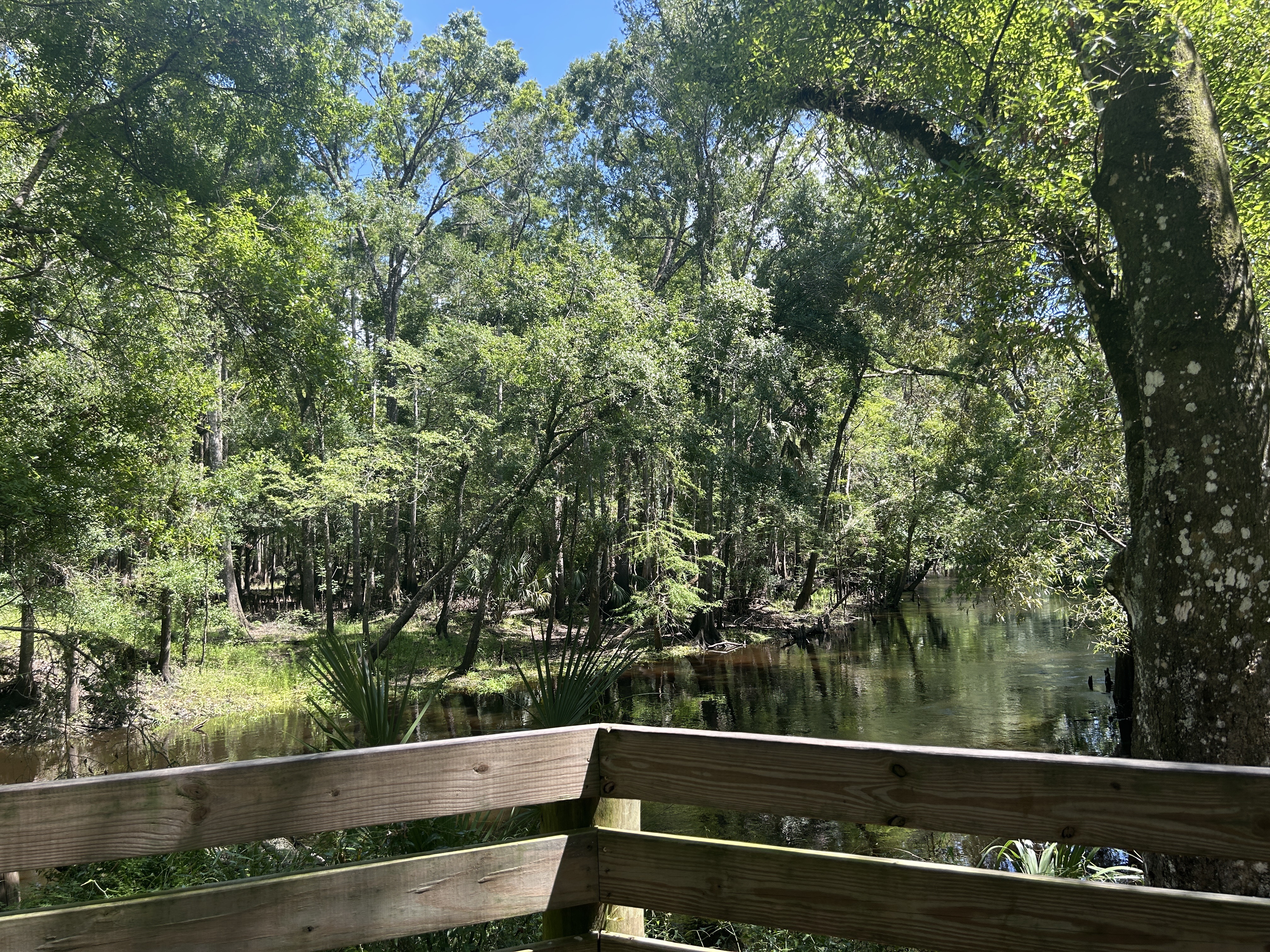 Lower Hillsborough Flood Detention Area Trail, Thonotosassa to Lower Hillsborough Flood Detention Area Trail, Thonotosassa